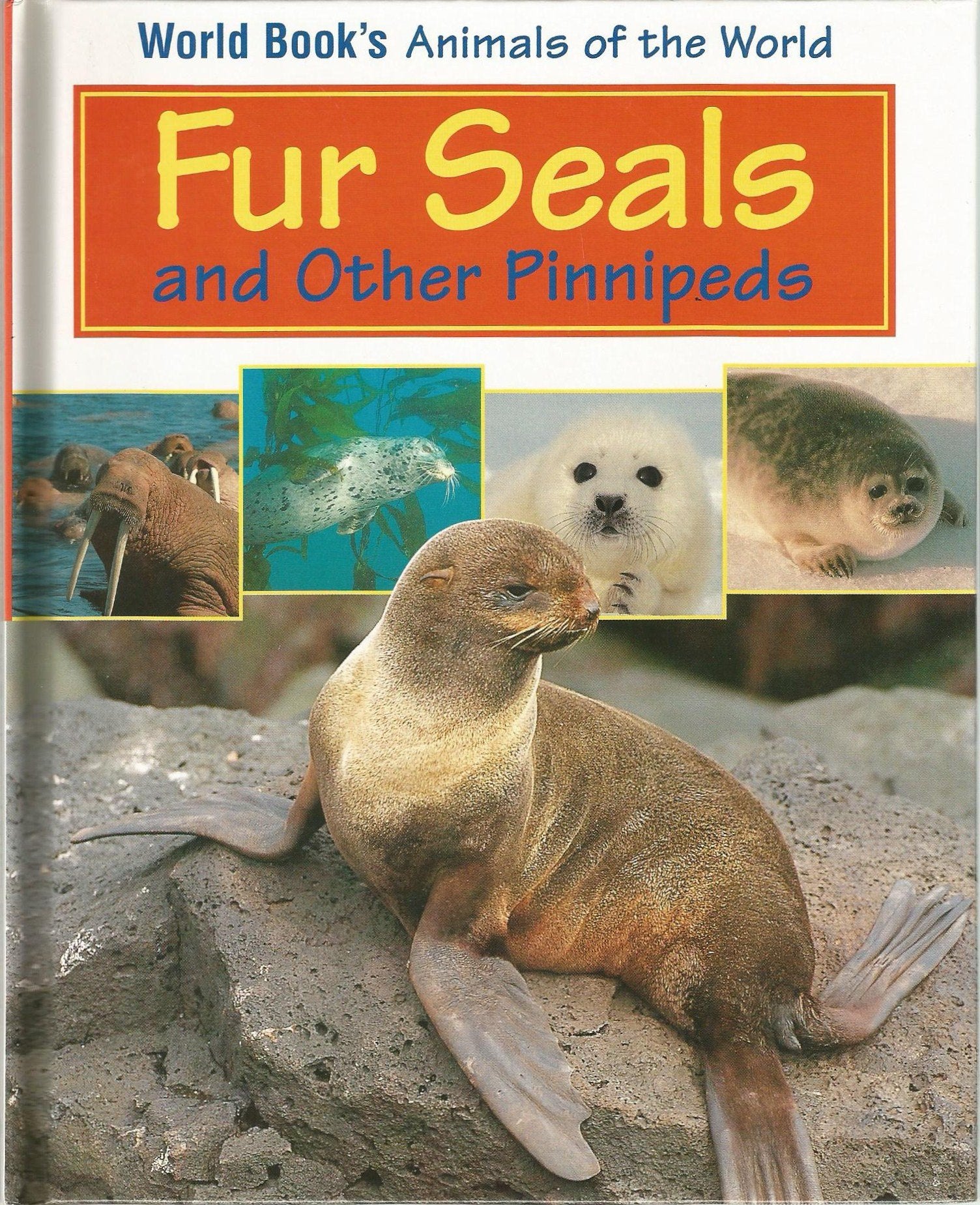 Fur Seals and Other Pinnipeds: Book Author, Lome Piasetsky book