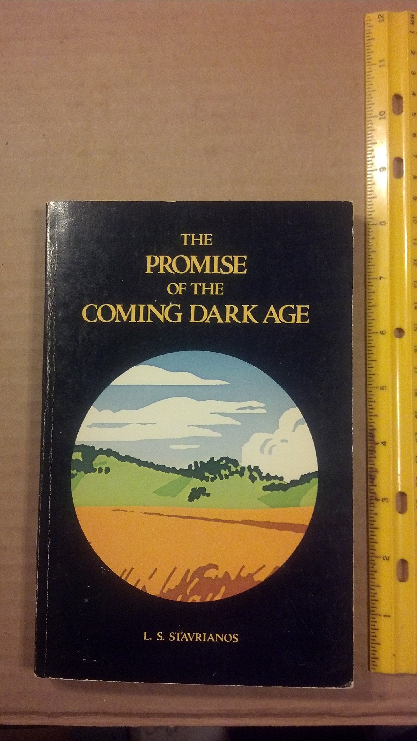 Promise of the Coming Dark Age book