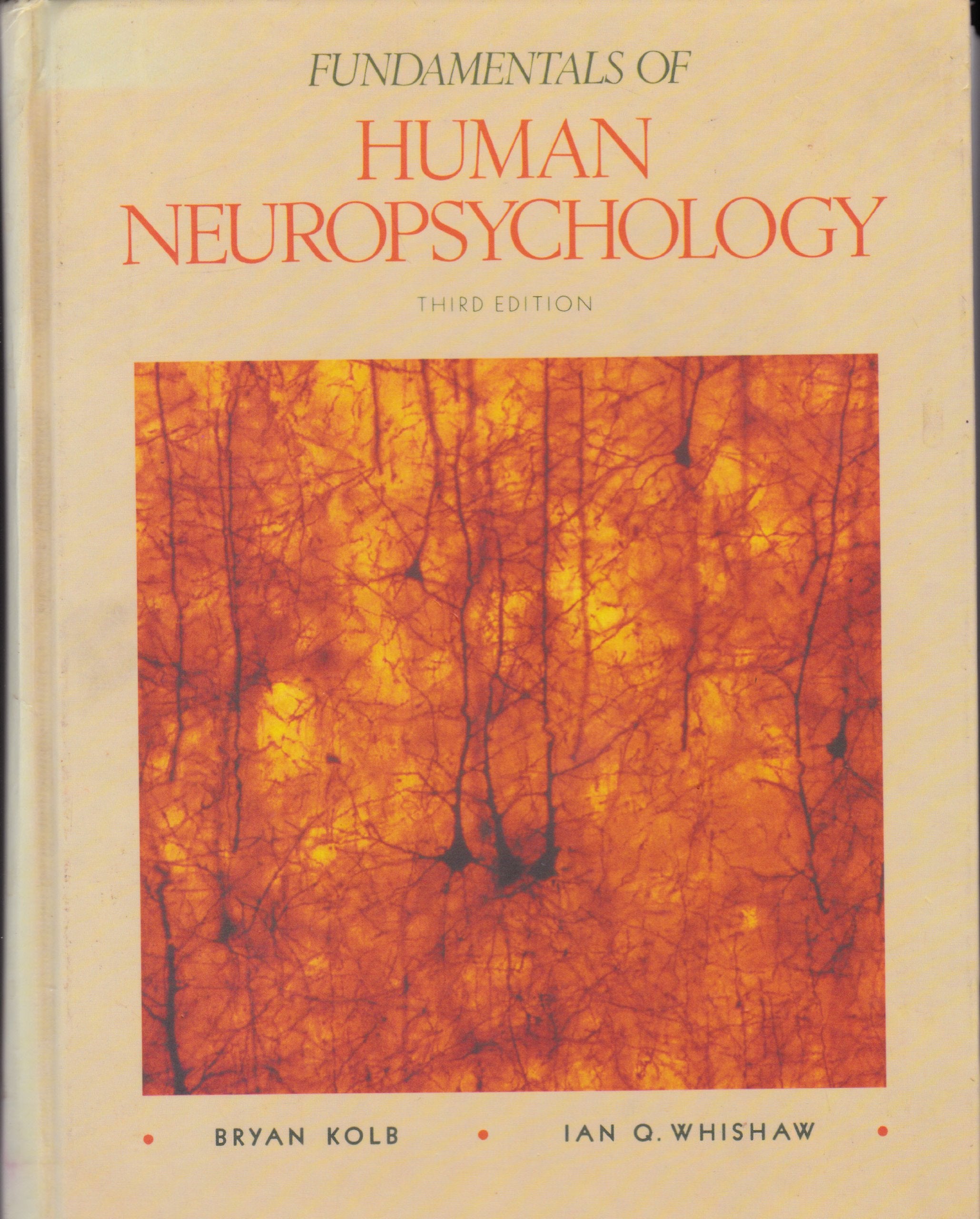 Fundamentals of Human Neuropsychology Medicine
