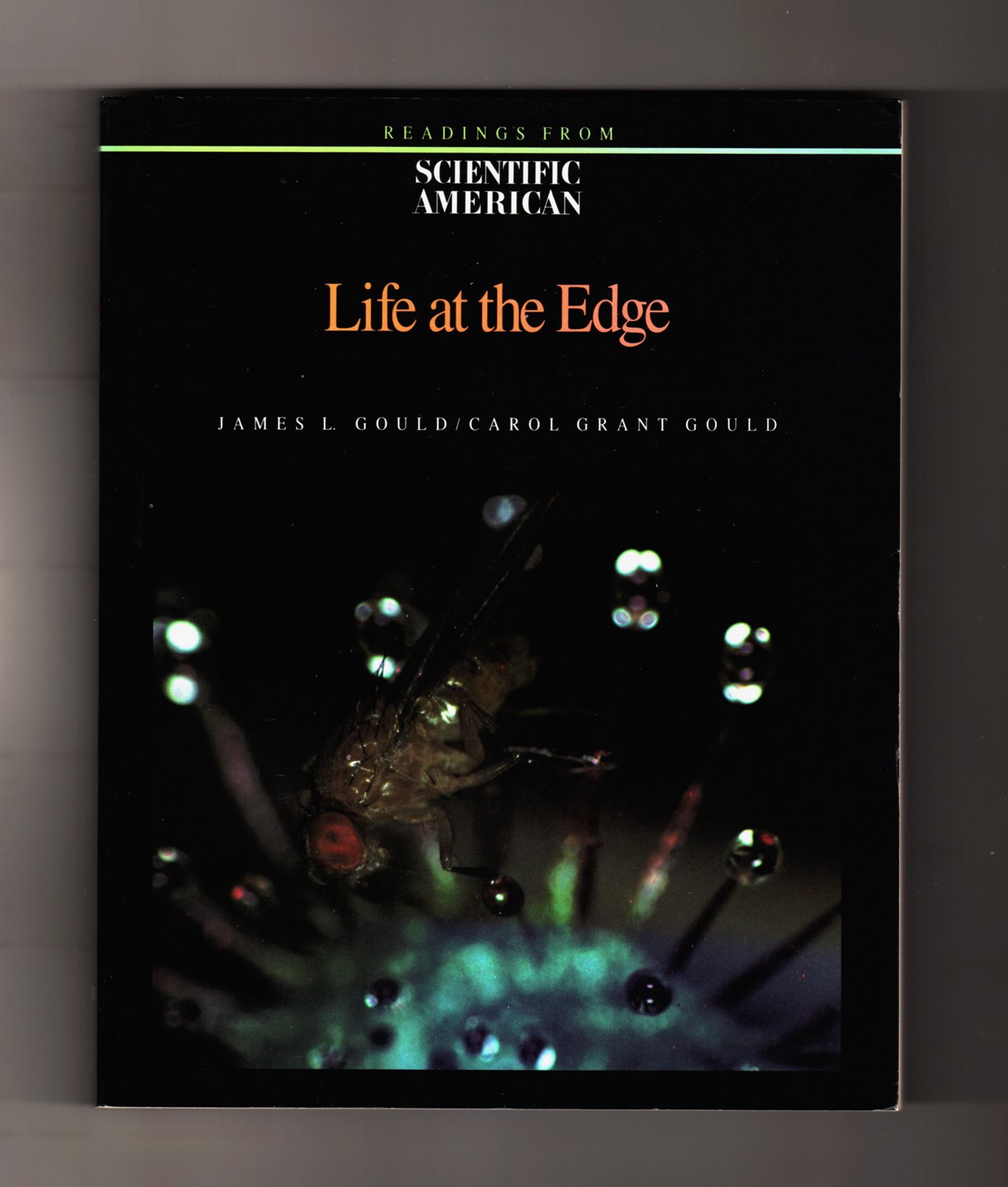 Life at the Edge: Readings from Scientific American Magazine Mathematics