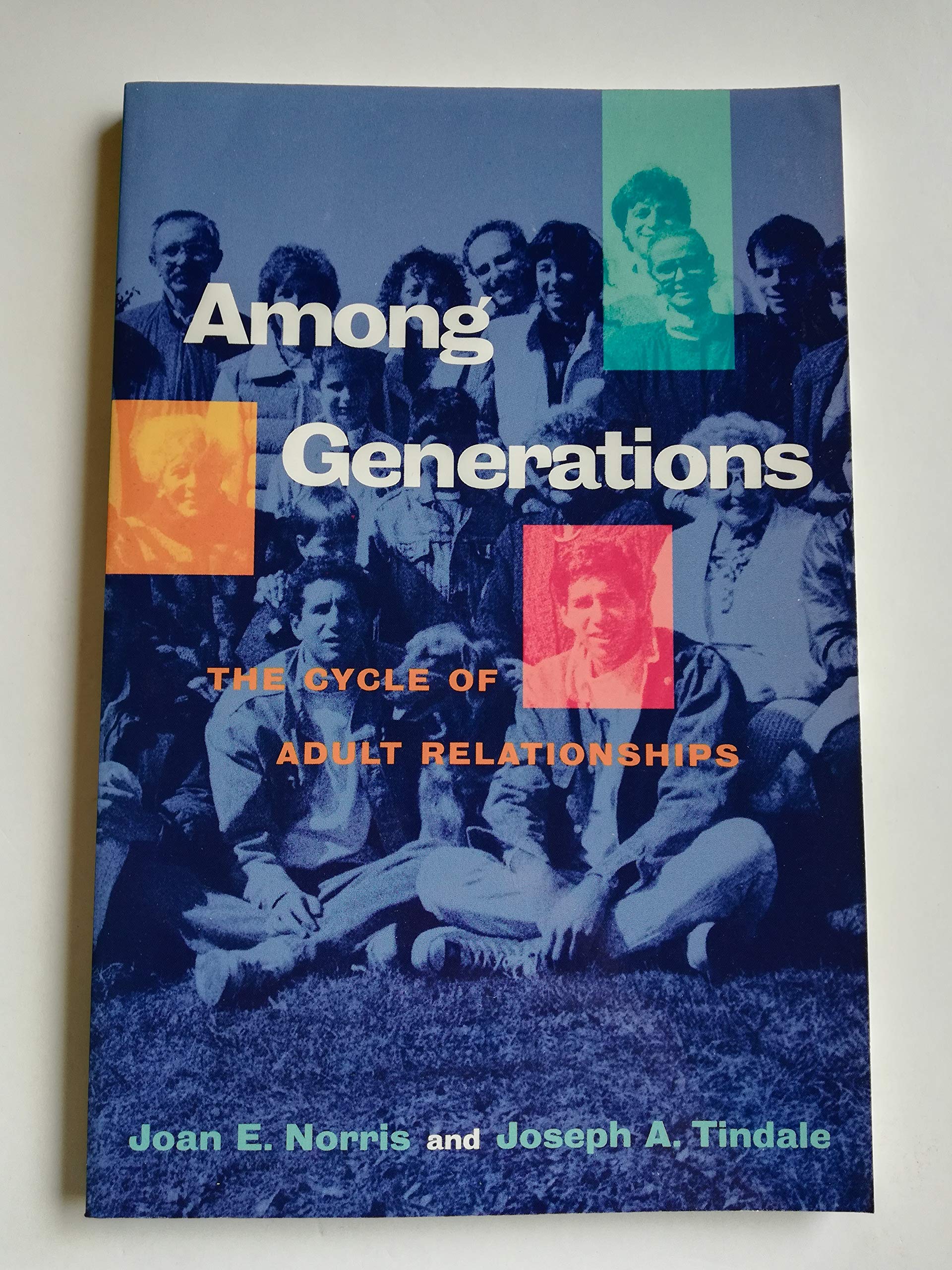Among Generations: The Cycle of Adult Relationships Partnership & Love