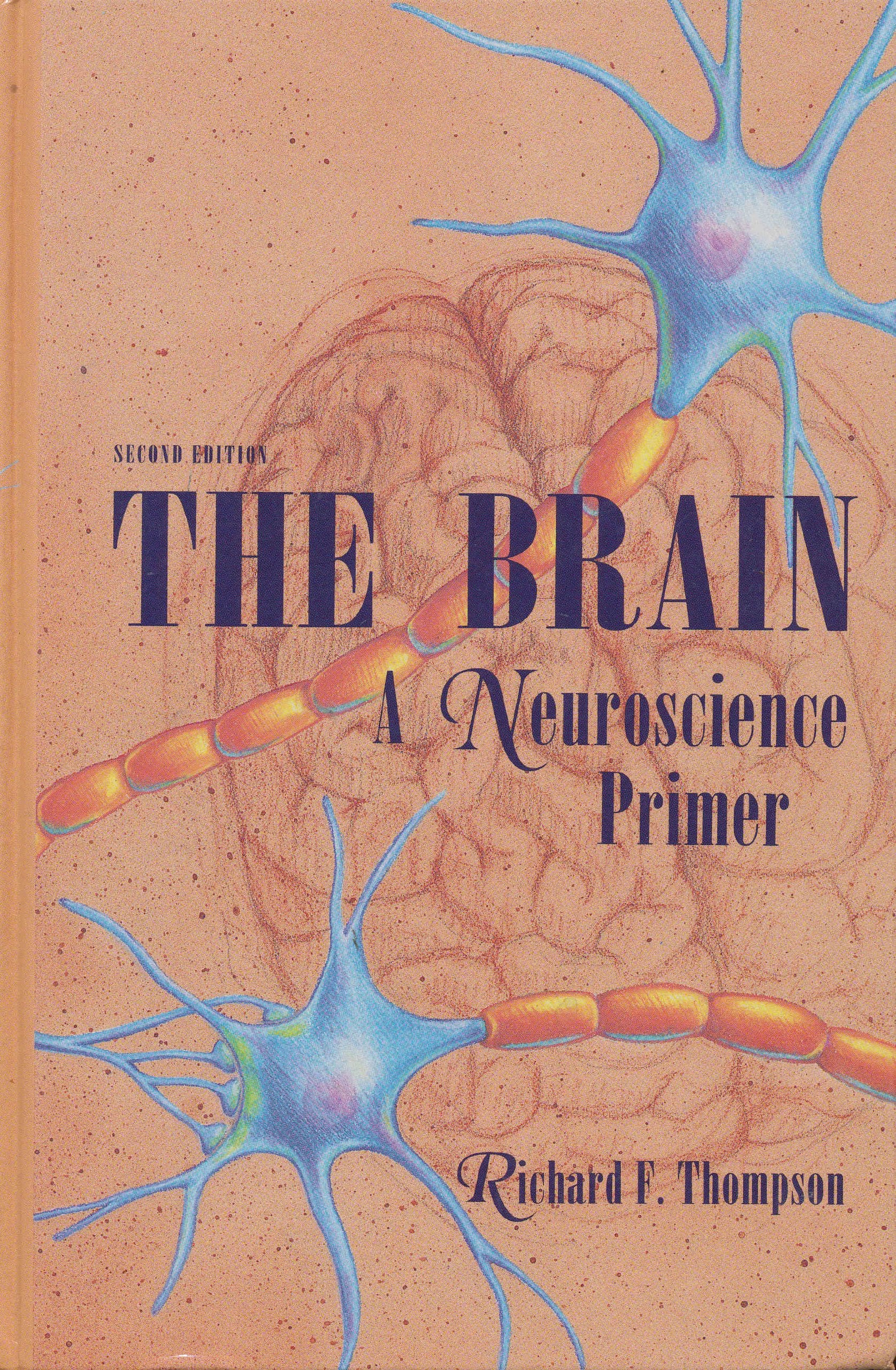 The Brain: A Neuroscience Primer (Series of Books in Psychology) Medicine