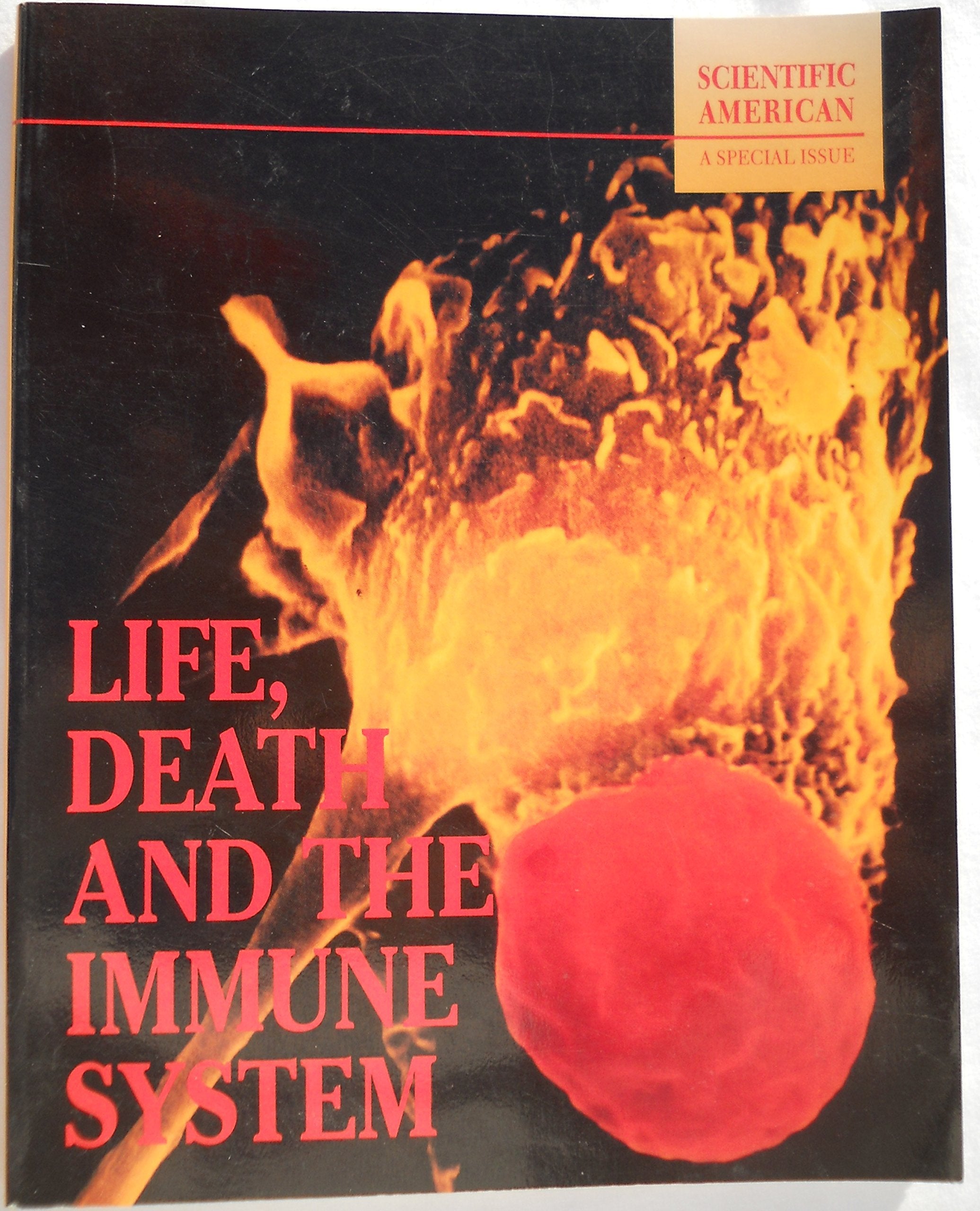 Life, Death and the Immune System: Scientific American : A Special Issue Medicine