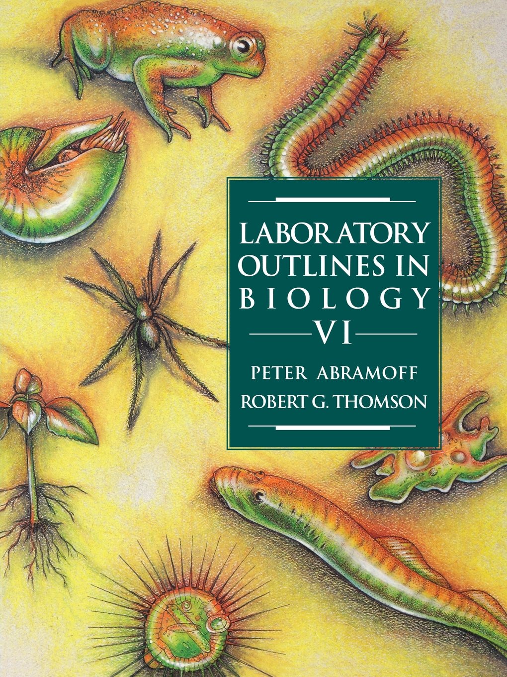 Laboratory Outlines in Biology--VI Business & Technology