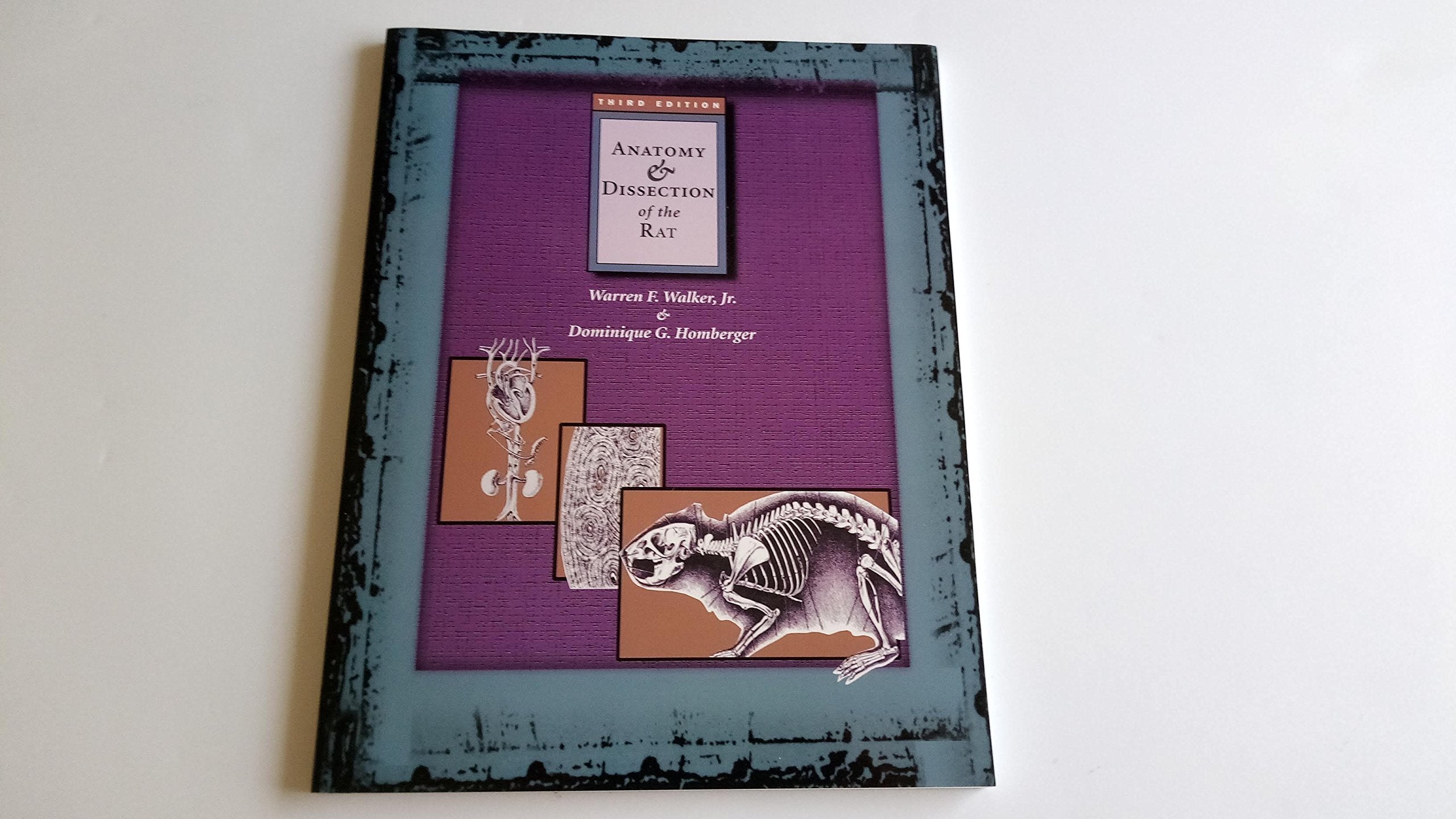 Anatomy & Dissection of the Rat Medicine