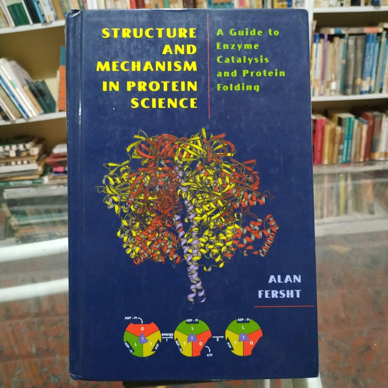 Structure and Mechanism in Protein Science: A Guide to Enzyme Catalysis and Protein Folding Medicine
