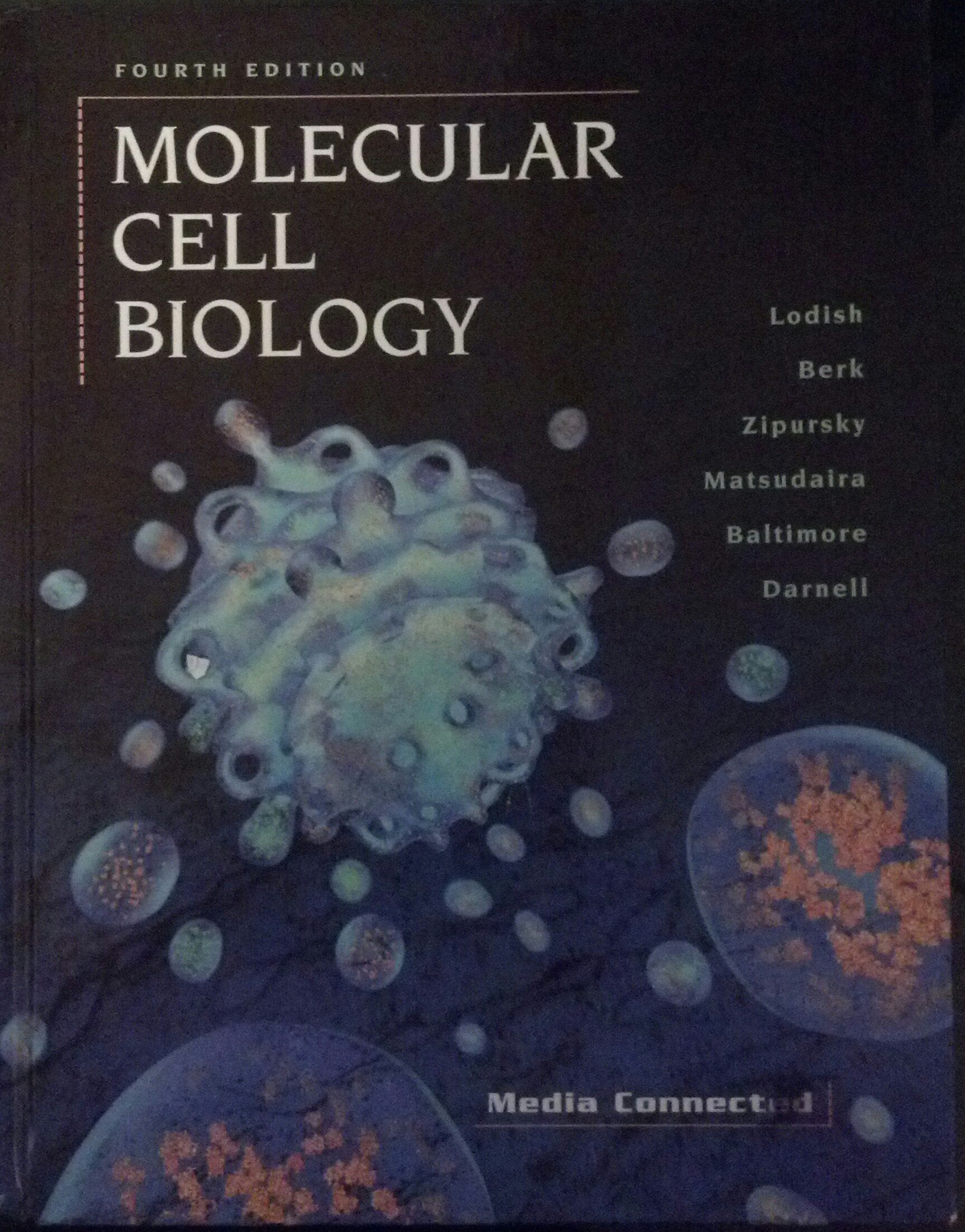Molecular Cell Biology Medicine