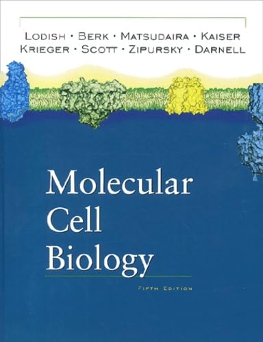 Molecular Cell Biology: 5th Edition Natural Sciences Books