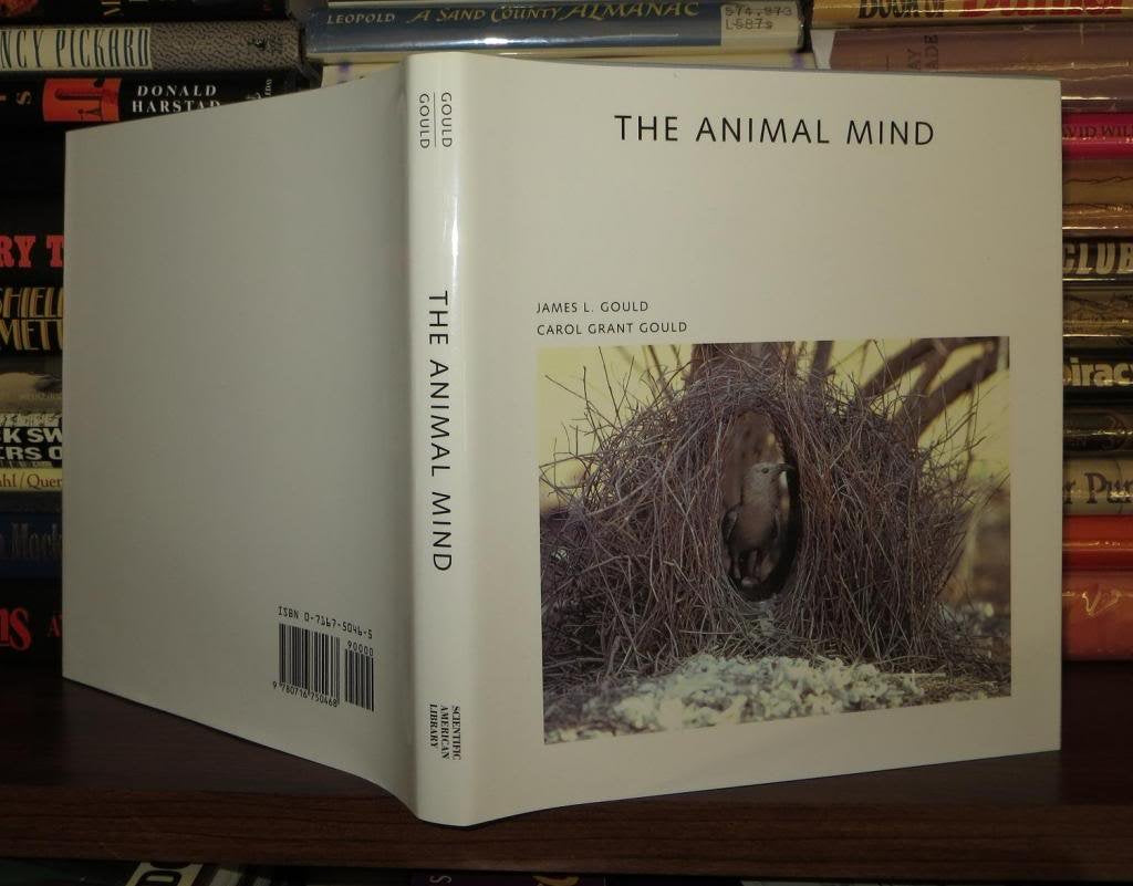 The Animal Mind (Scientific American Library) Business & Technology