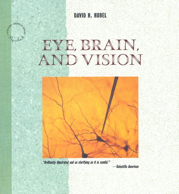 Eye, Brain, and Vision (Scientific American Library, Band 22) Medicine