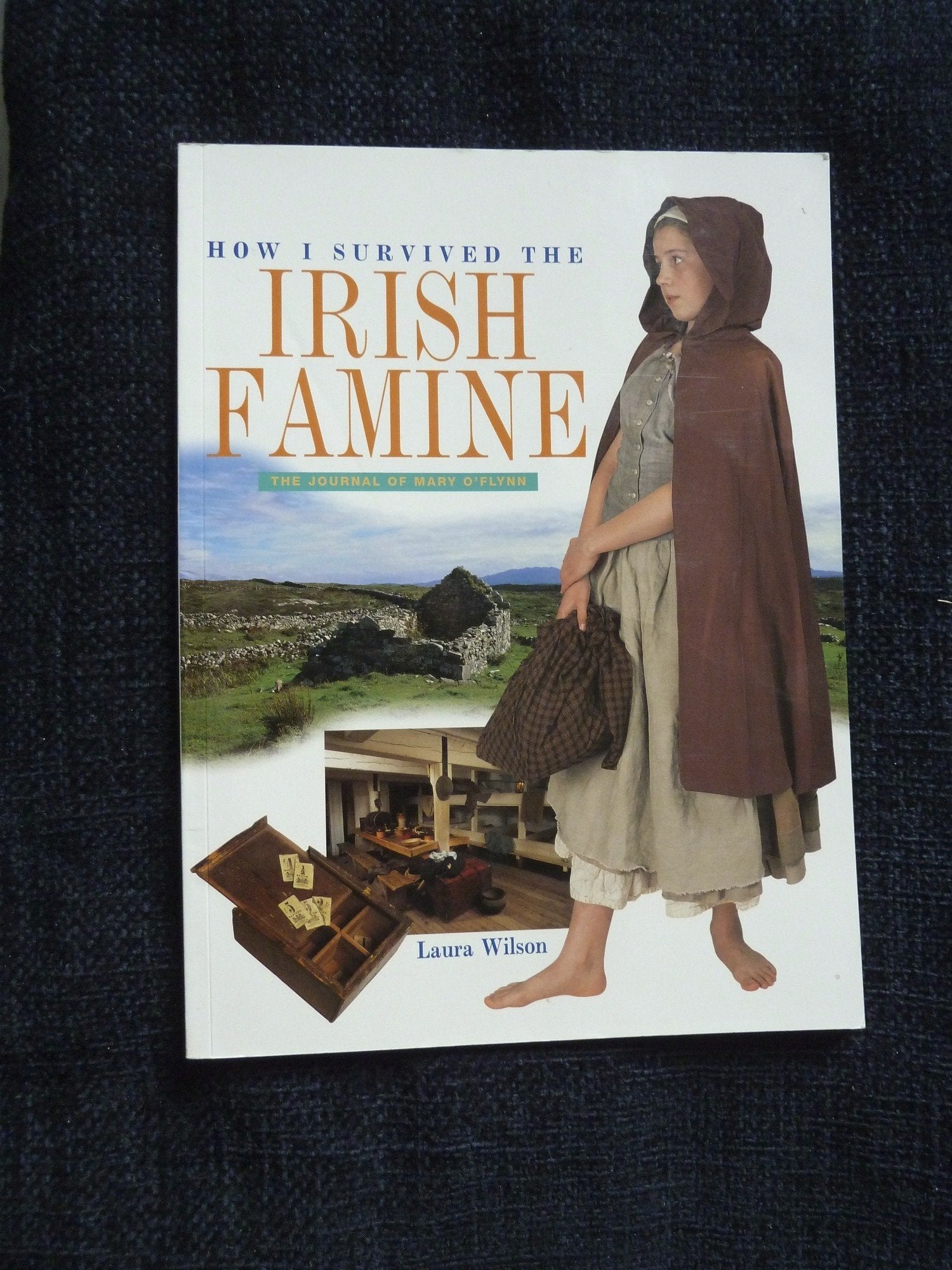 How I Survived the Irish Famine: The Journal of Mary O'Flynn Education