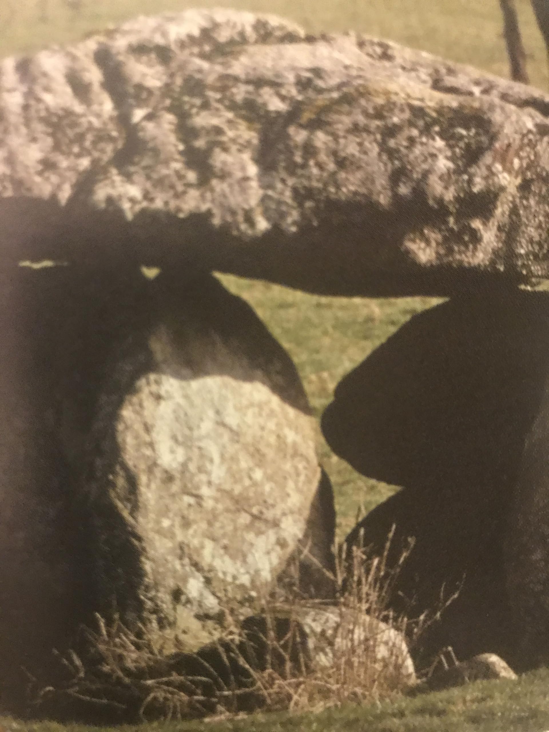 Secret Sights: In Search of Celtic Ireland Books