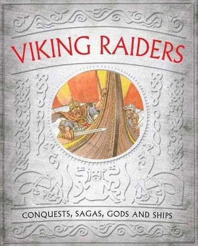 Viking Raiders: Life in Ireland book