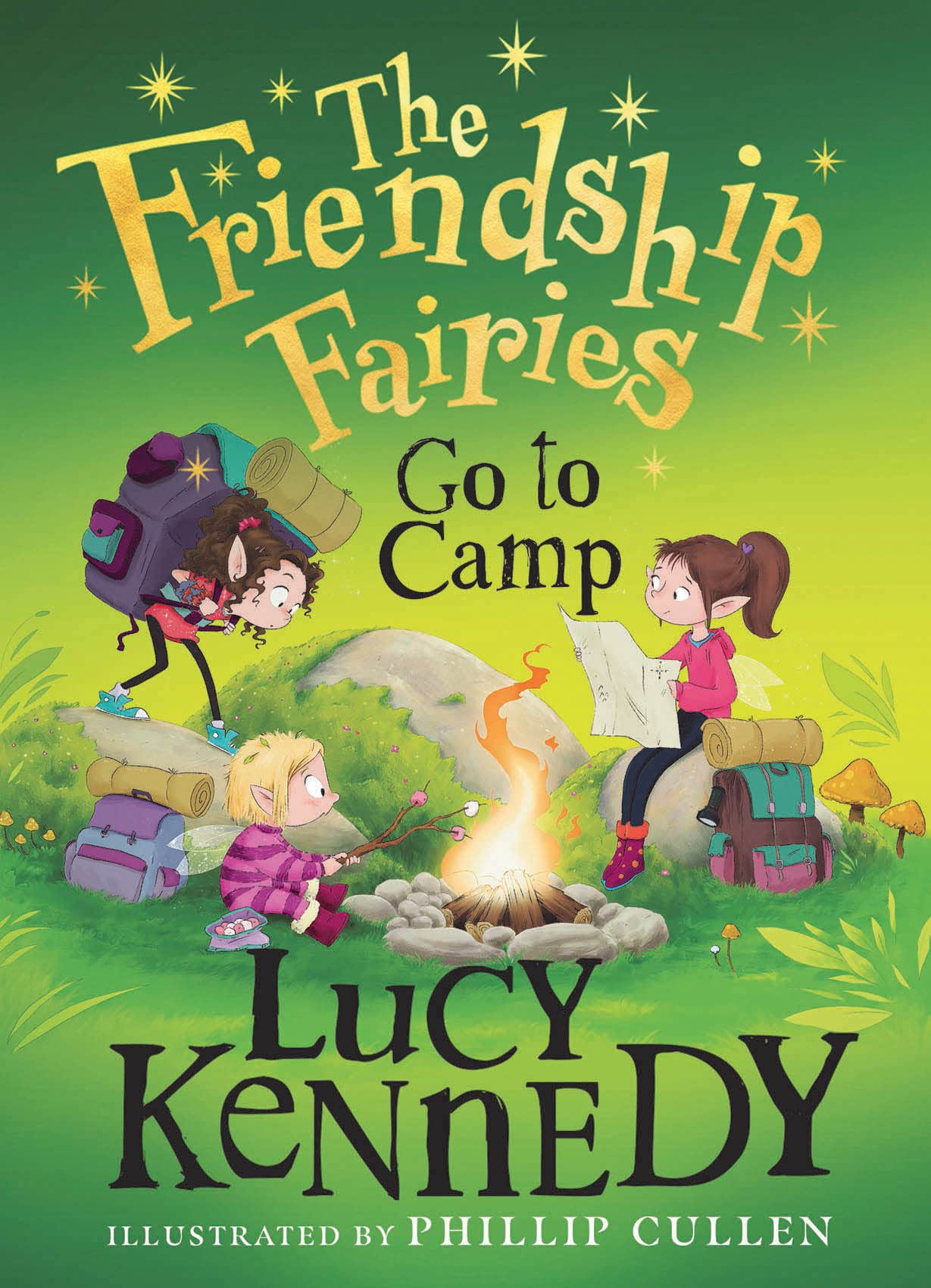 The Friendship Fairies Go to Camp book