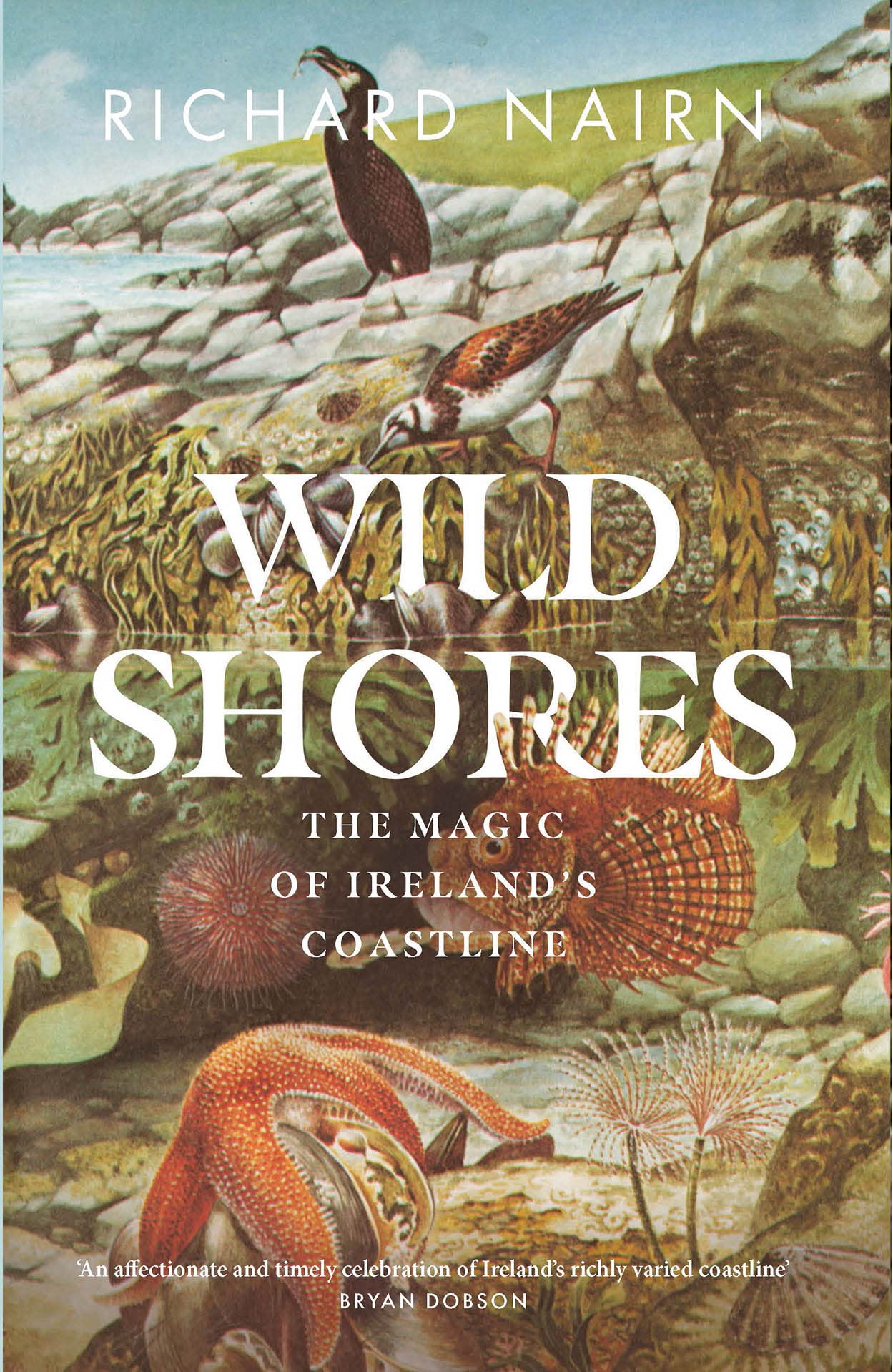 Wild Shores: The Magic of Ireland’s Coastline Memories