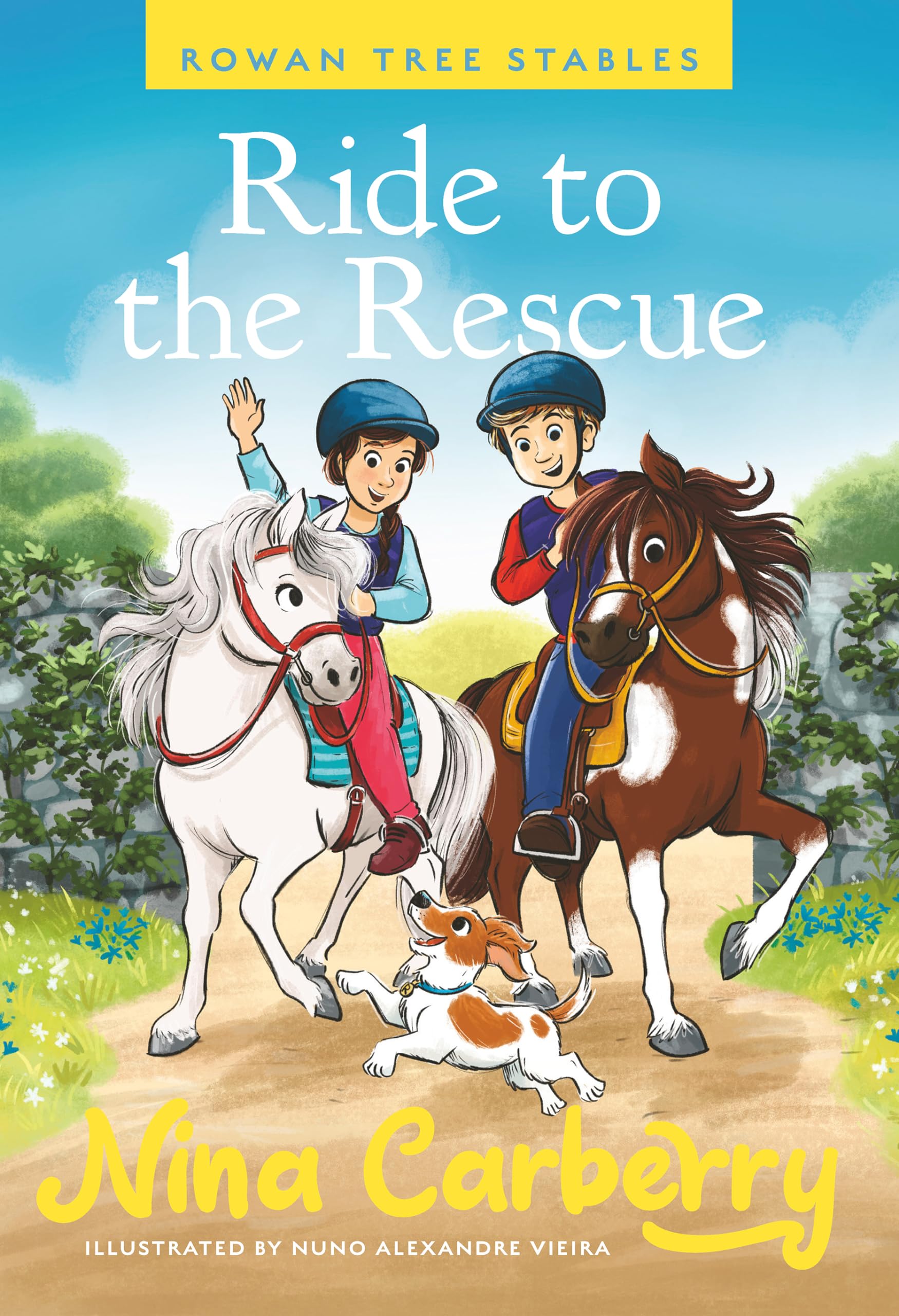 Ride to the Rescue: Ride to the Rescue book