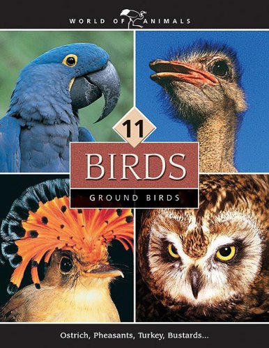 Birds (World of Animals (Danbury, Conn.), V. 11-20.) Books