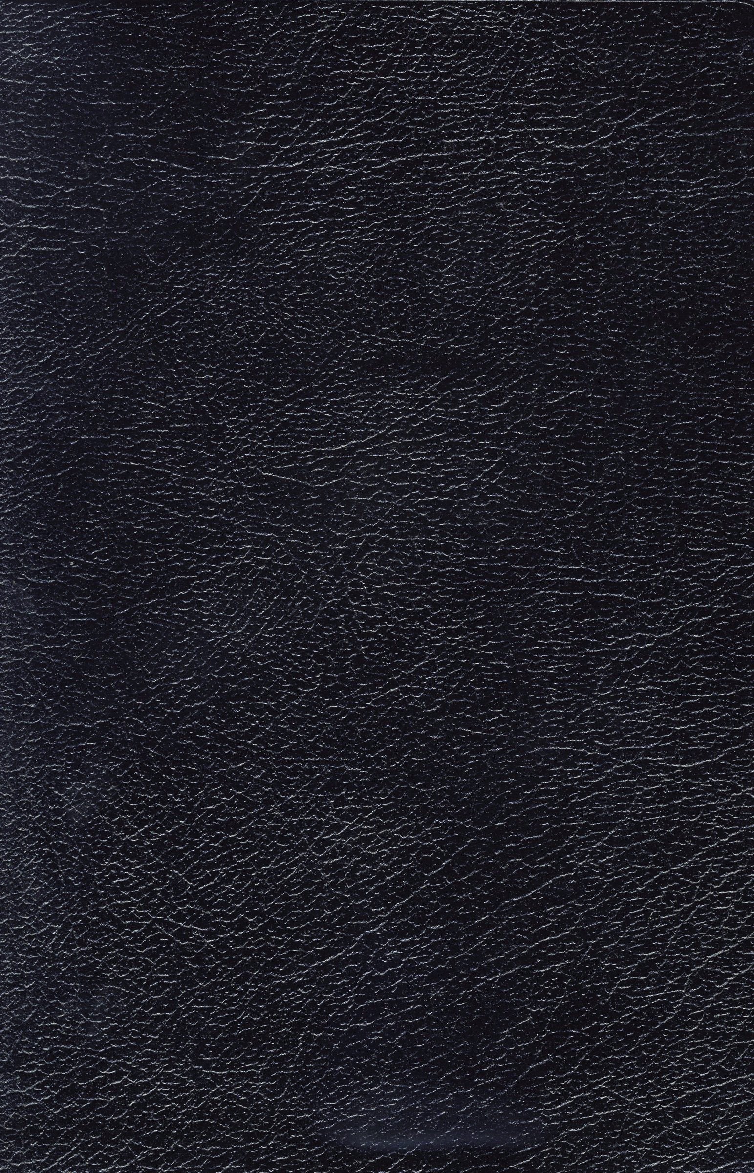 The Holy Bible: New King James Version, Black, Bonded Leather, Giant Print Center-Column Reference Edition (Classic) Religion & Esotericism