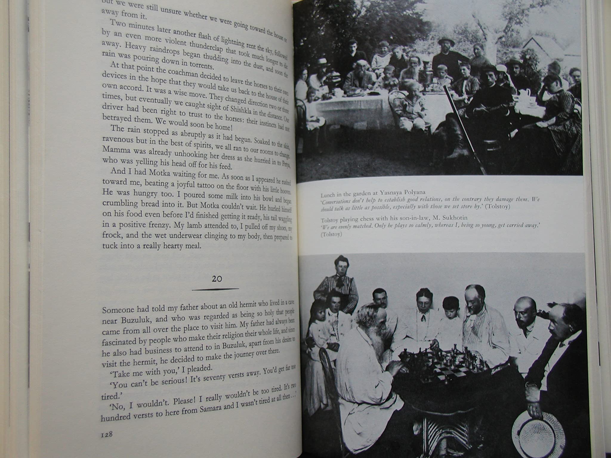 Tolstoy Remembered book