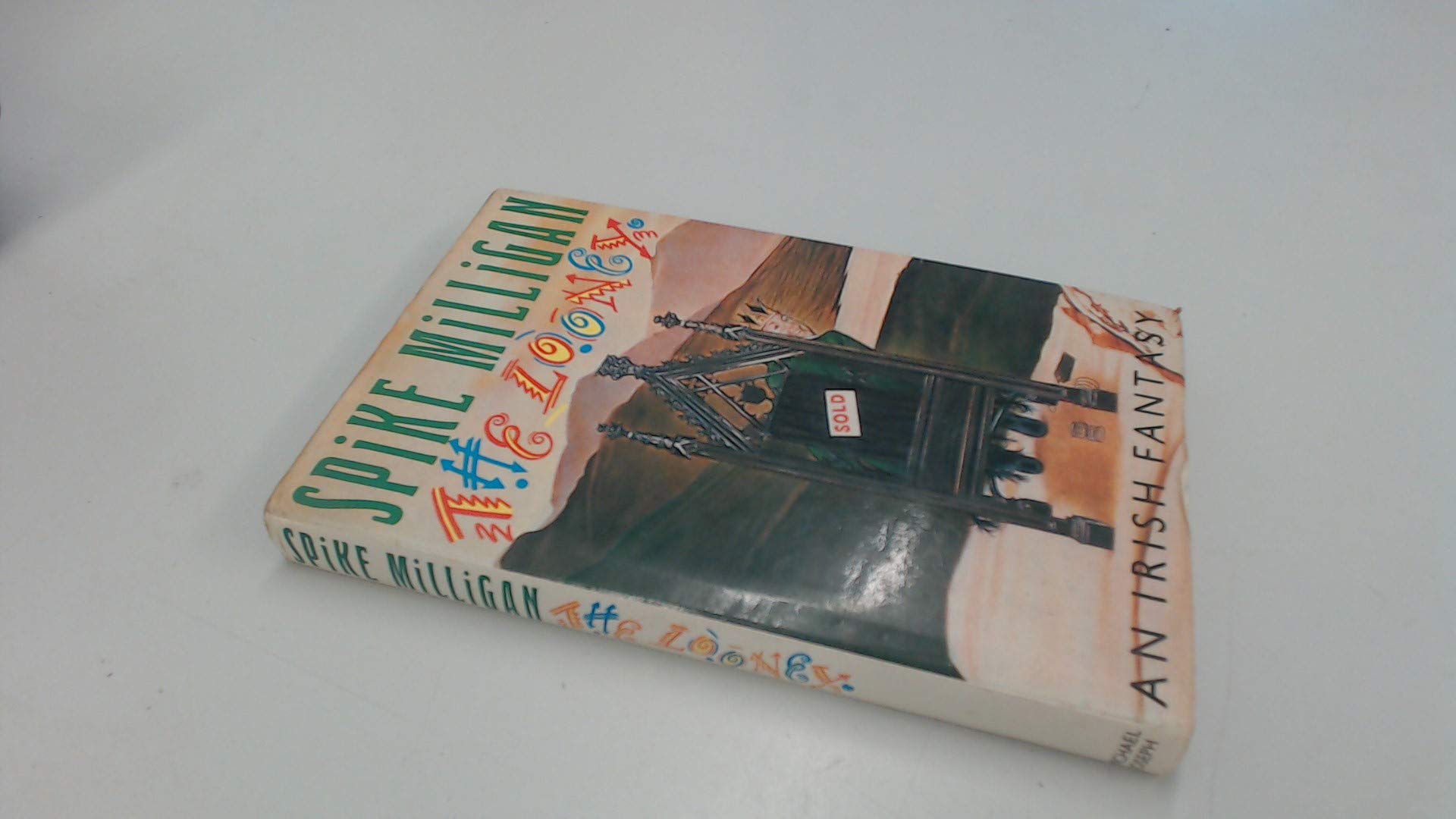 The Looney: An Irish Fantasy book