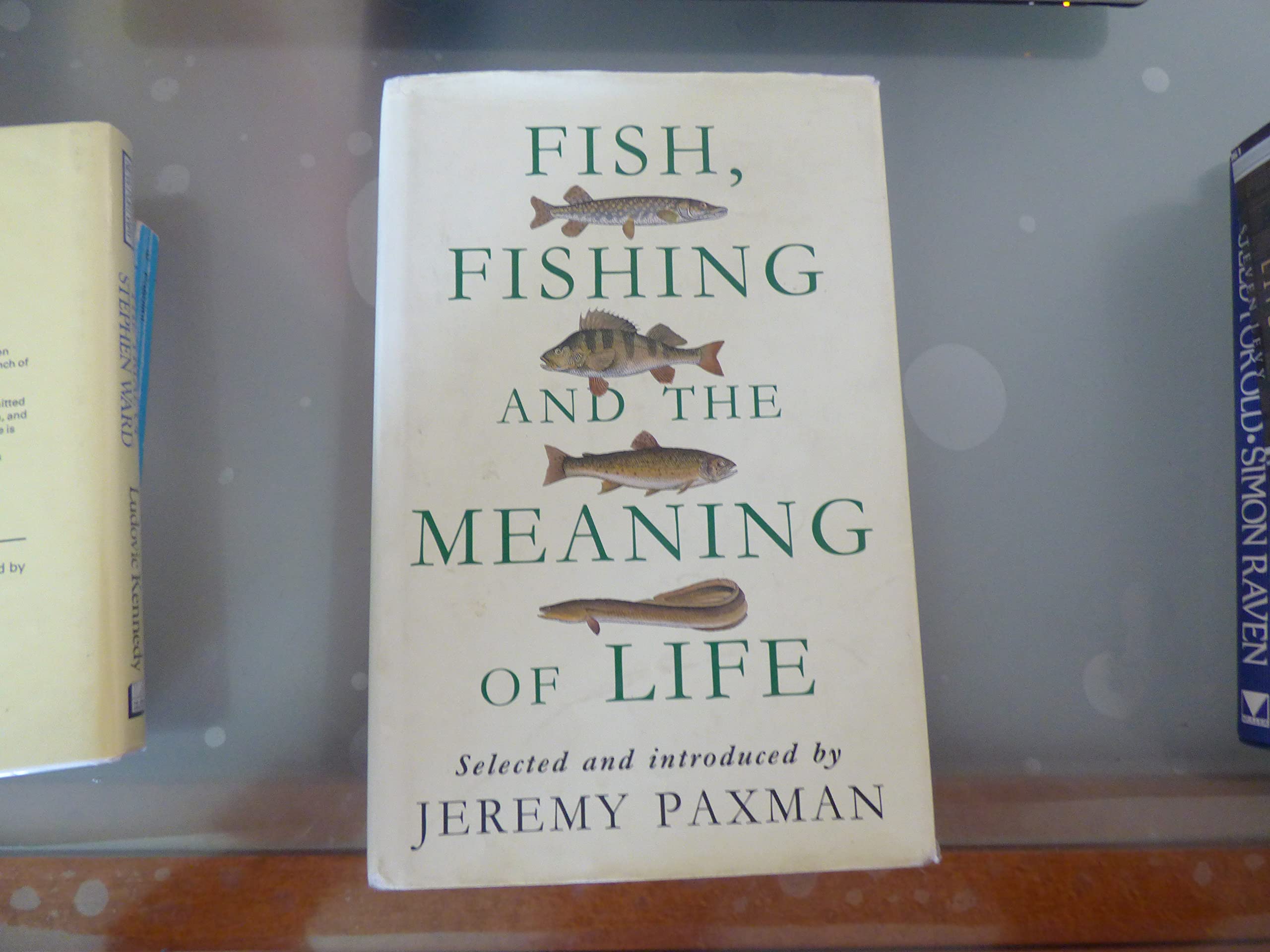 Fish, Fishing And the Meaning of Life Essays & Short Stories