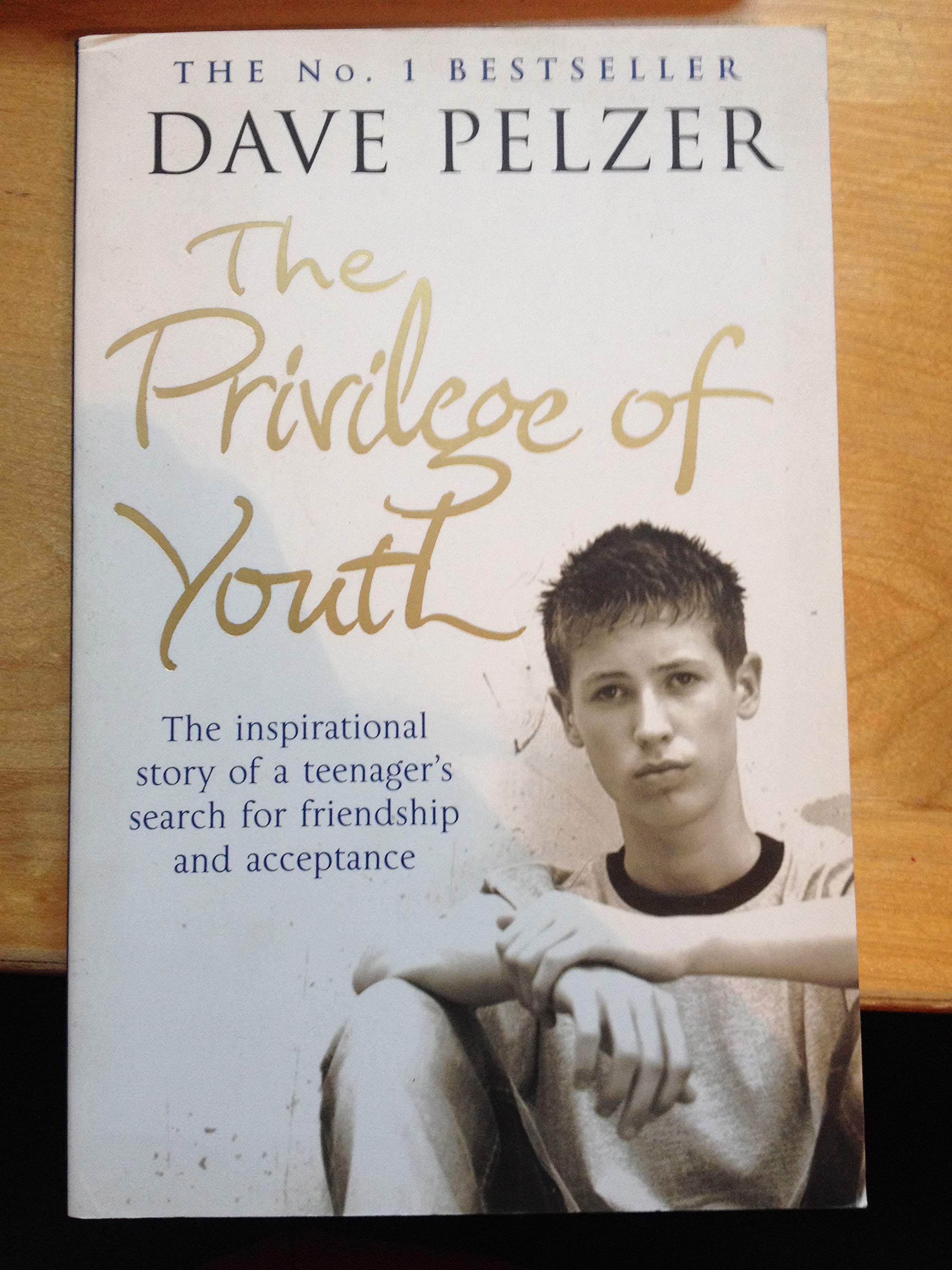 The Privilege of Youth: The Inspirational Story of a Teenager's Search for Friendship and Acceptance Social Sciences