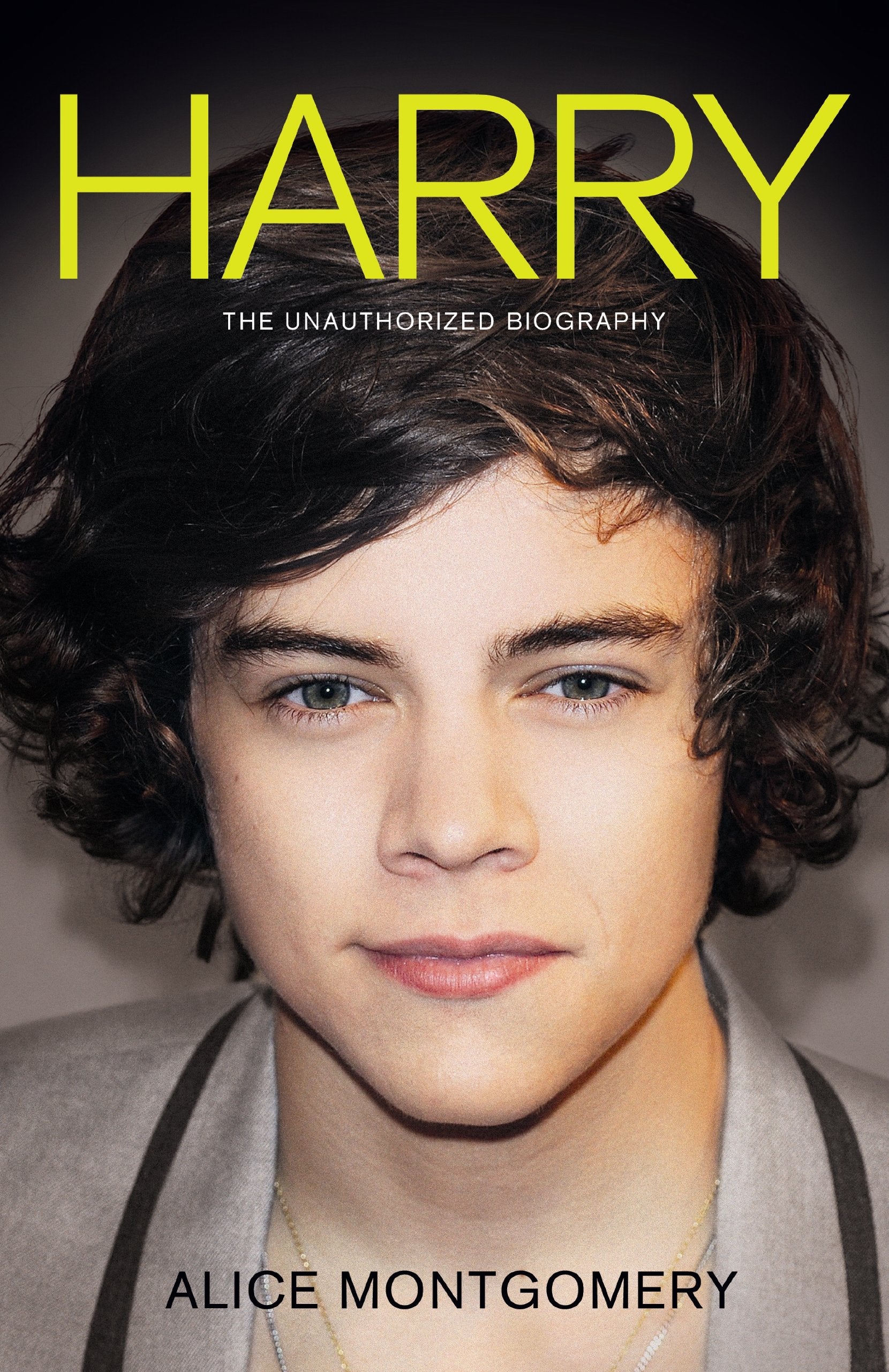 Harry Styles: The Unauthorized Biography Pop culture Books