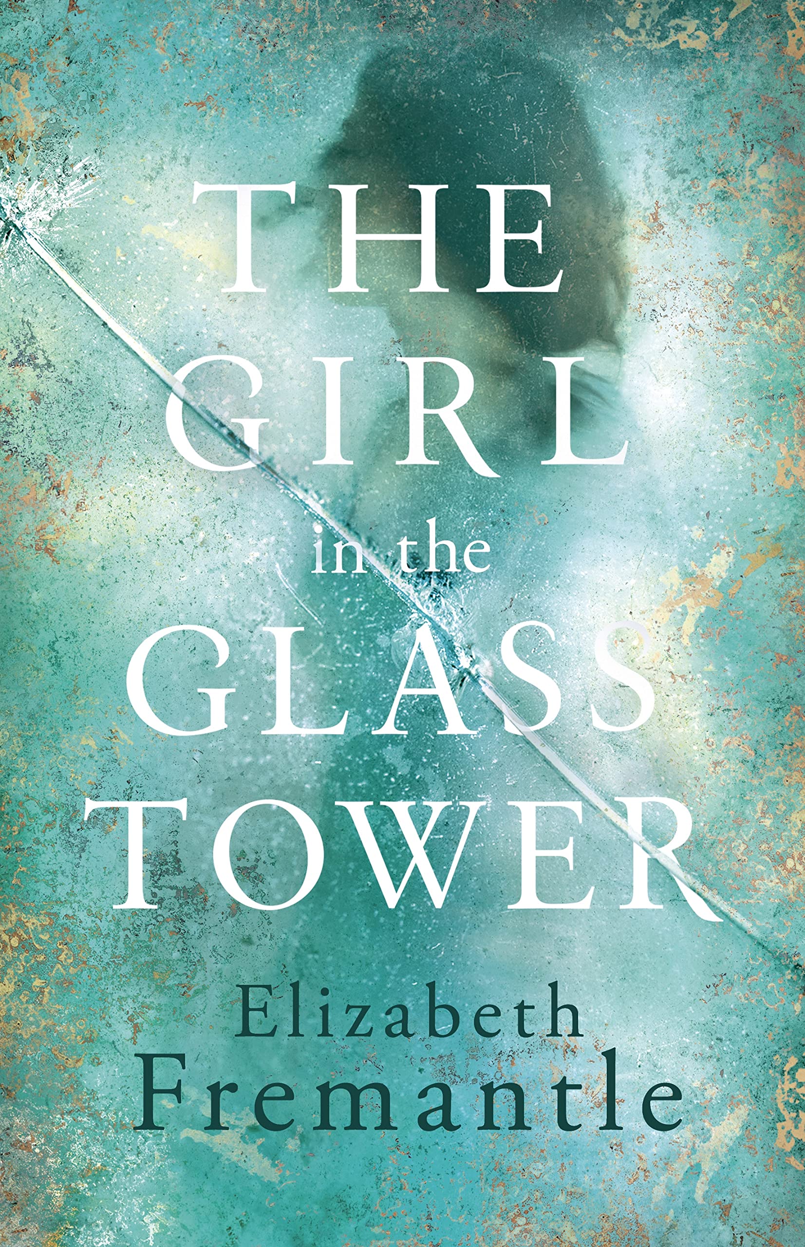 The Girl in the Glass Tower Contemporary literature