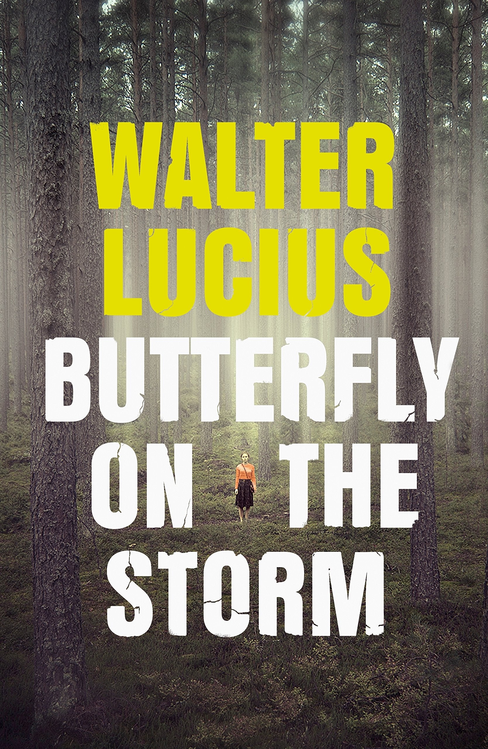 Butterfly on the Storm: Heartland Trilogy Book 1 Action & Adventure