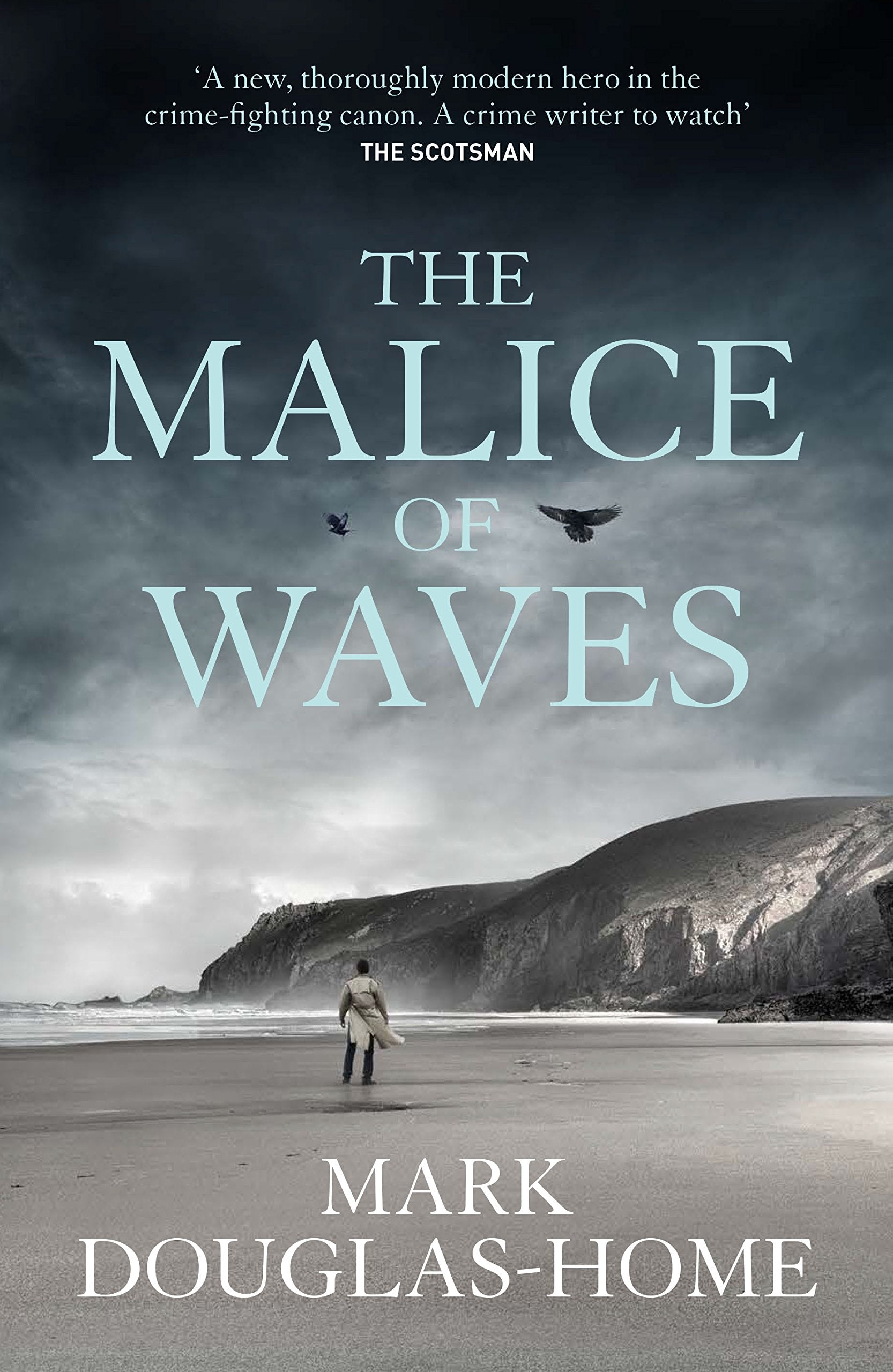 The Malice of Waves (The Sea Detective, Band 3) Action & Adventure