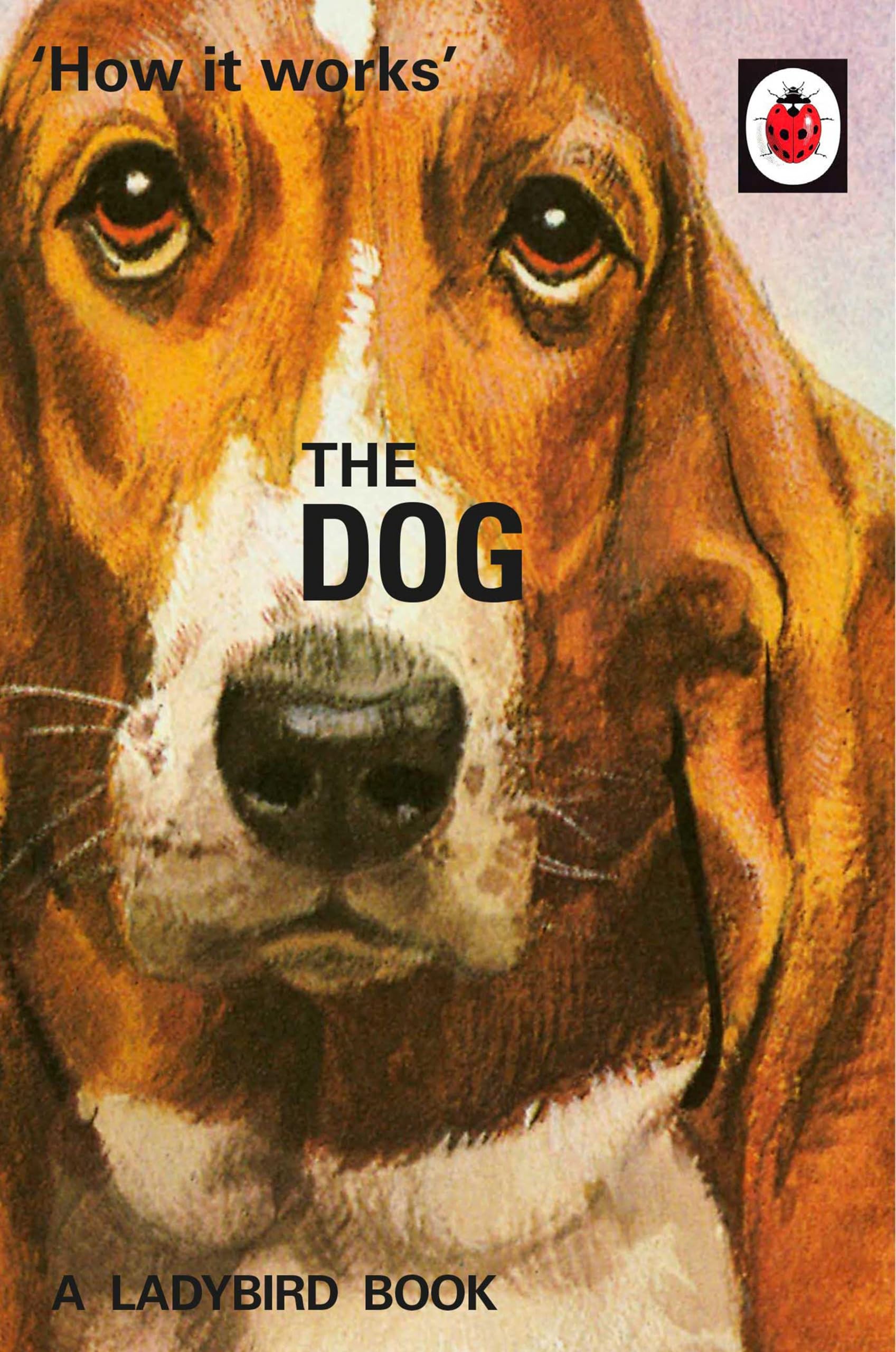 How it Works: The Dog: (Ladybird For Grown-Ups) (Ladybirds for Grown-Ups) Humour & Satire