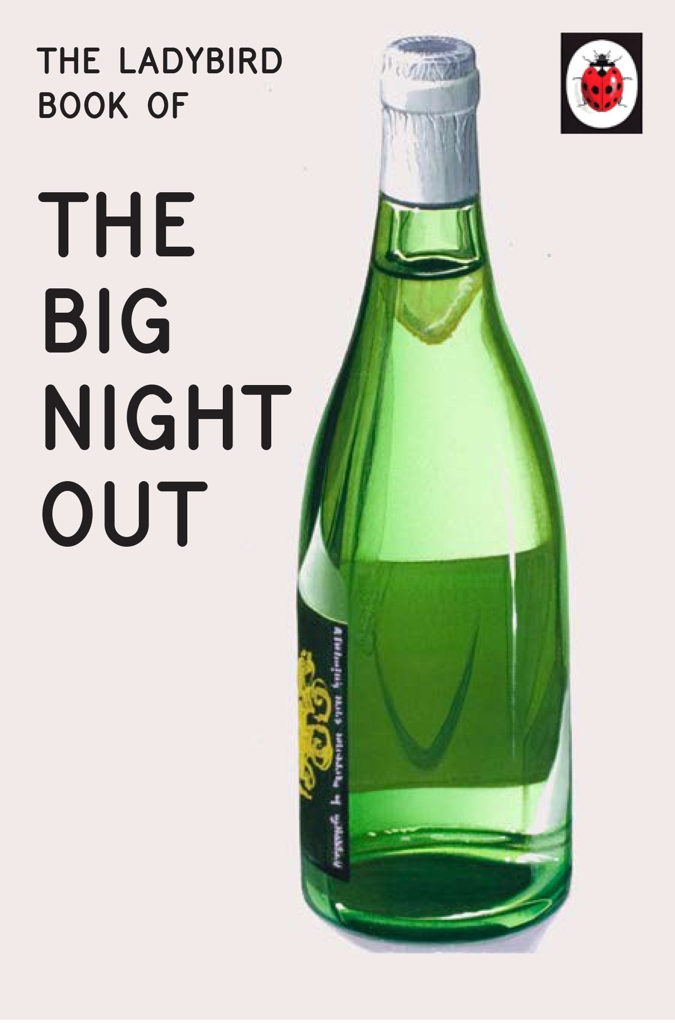 The Ladybird Book of the Big Night Out Social Sciences