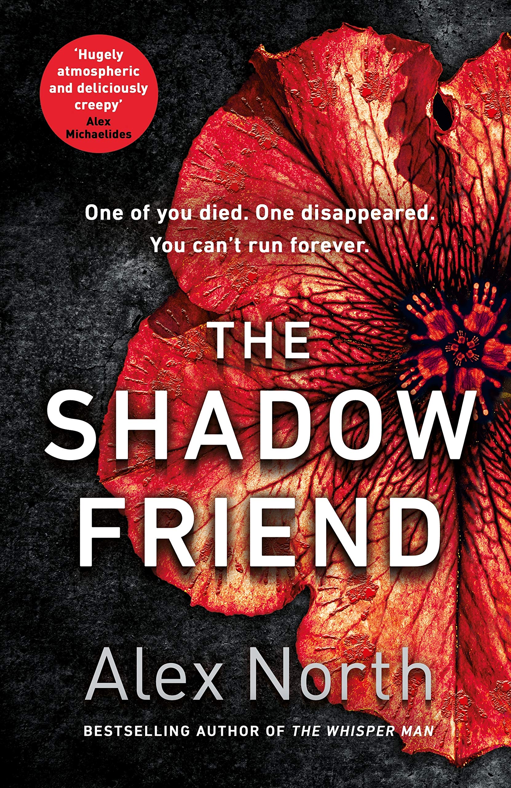 The Shadow Friend Horror & Mystery