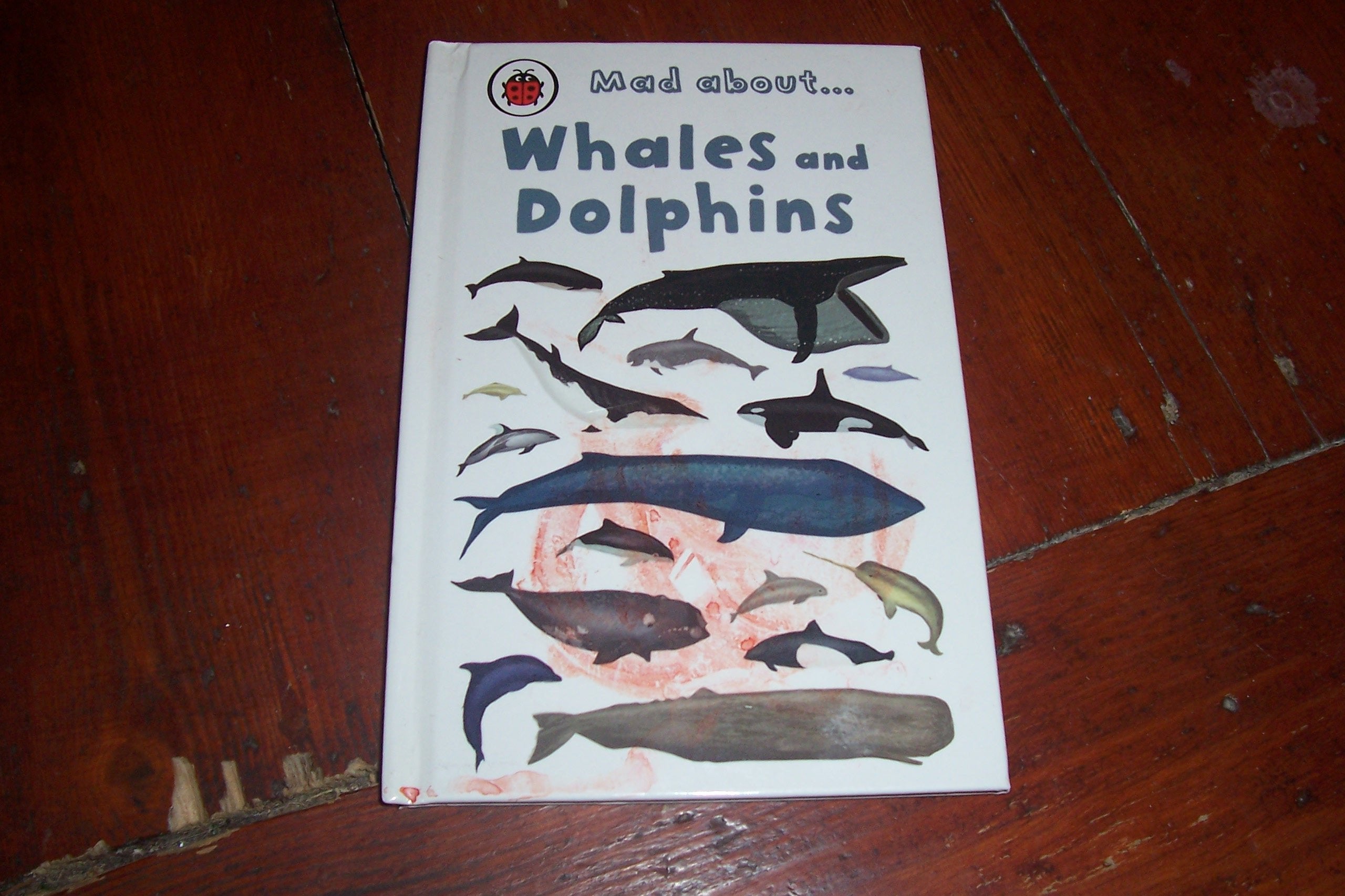 Mad About Whales and Dolphins Books