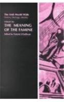The Meaning of the Famine (The Irish Worldwide Series) Books