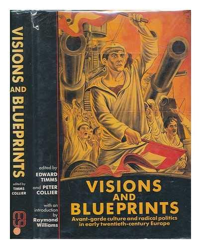 Visions and Blueprints: Avant-garde Culture and Radical Politics in Early Twentieth-century Europe Politics & History