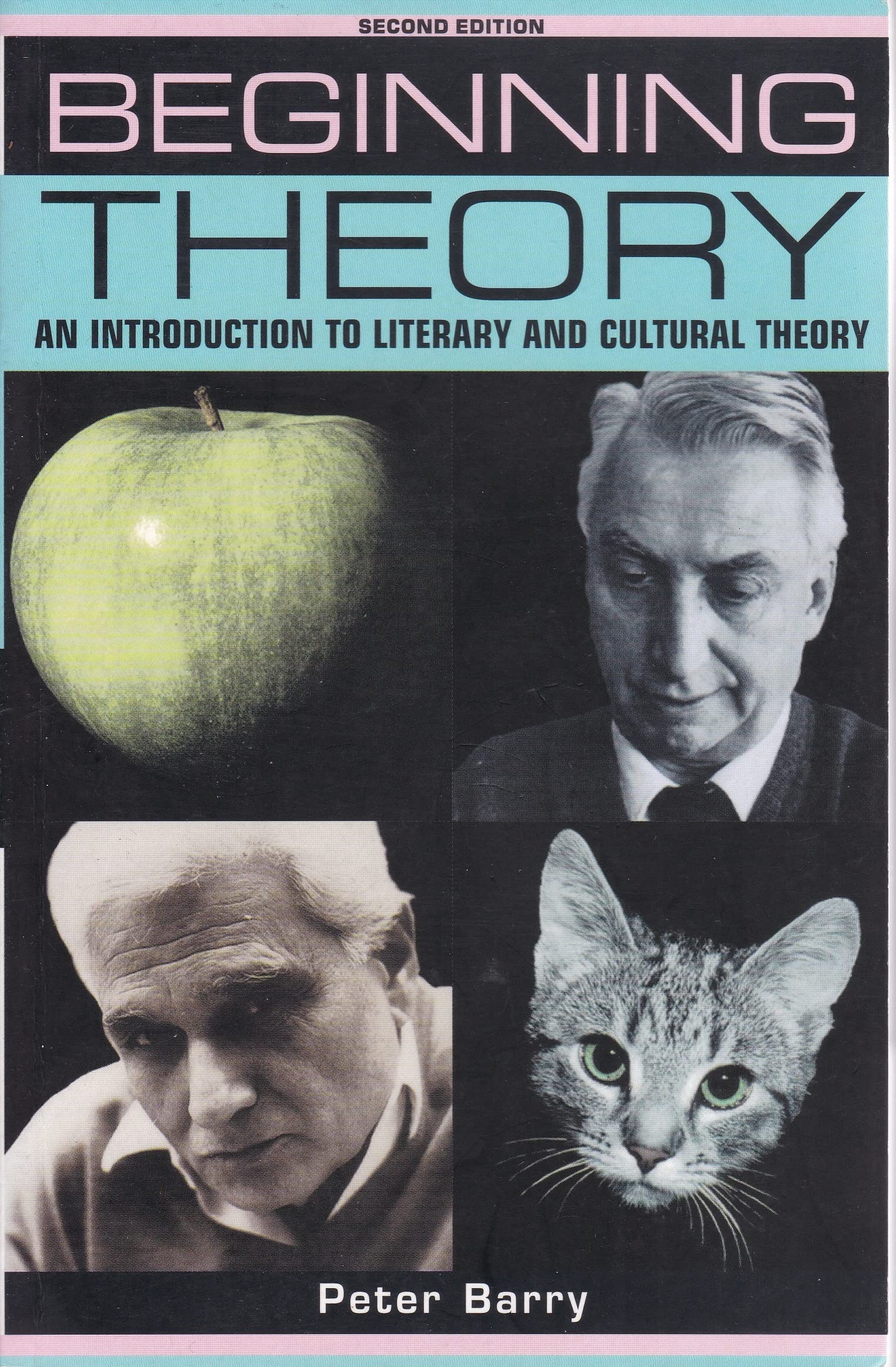 Beginning Theory: An Introduction to Literary and Cultural Theory (Beginnings) Social Sciences