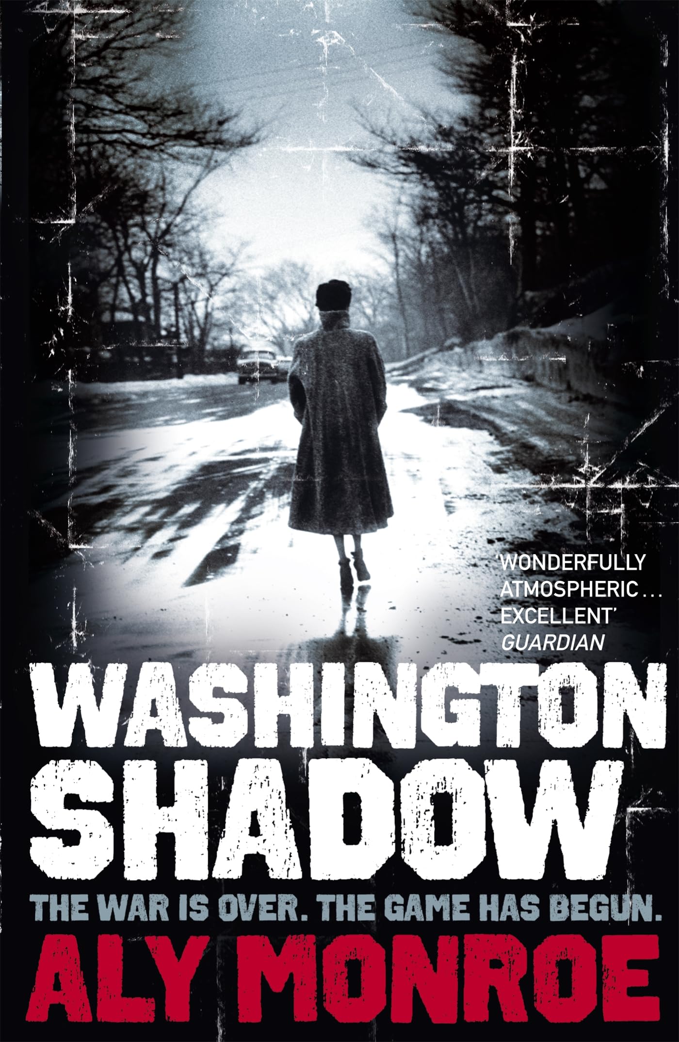 Washington Shadow: Peter Cotton Thriller 2: The second 'addictive' spy thriller Contemporary literature