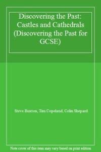 Castles and Cathedrals (Discovering the Past for GCSE) Books