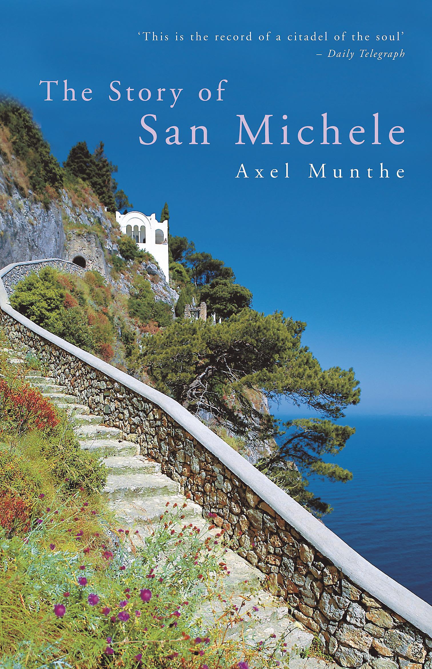 The Story of San Michele Medicine