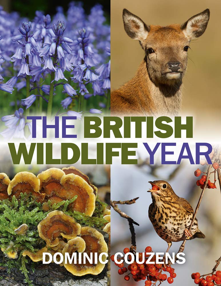 The British Wildlife Year Mathematics