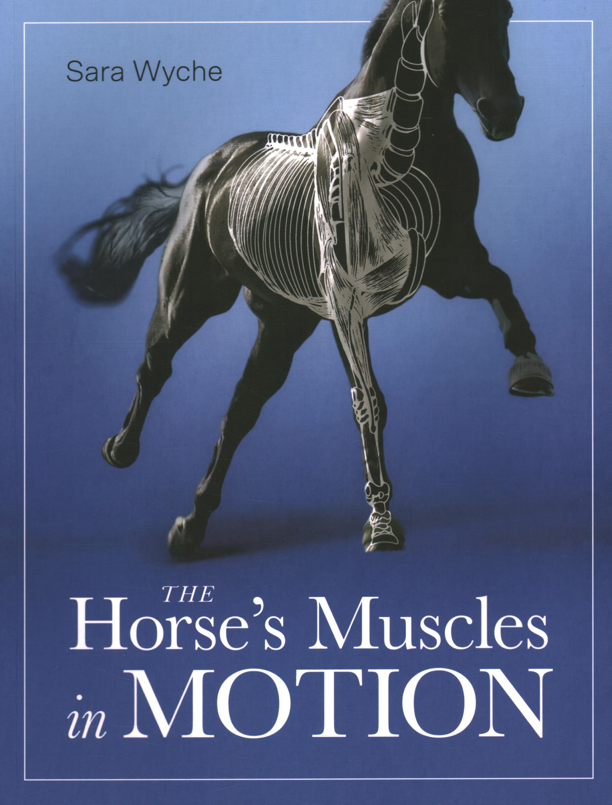 The Horse's Muscles in Motion Medicine