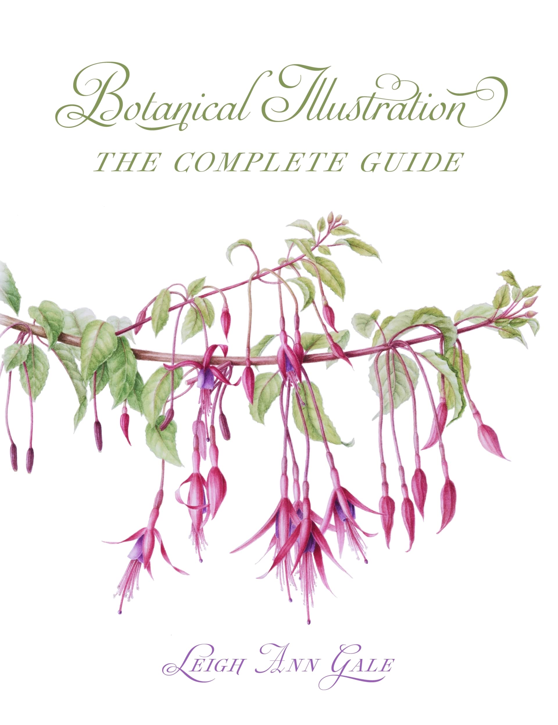 Botanical Illustration Film, Art & Culture
