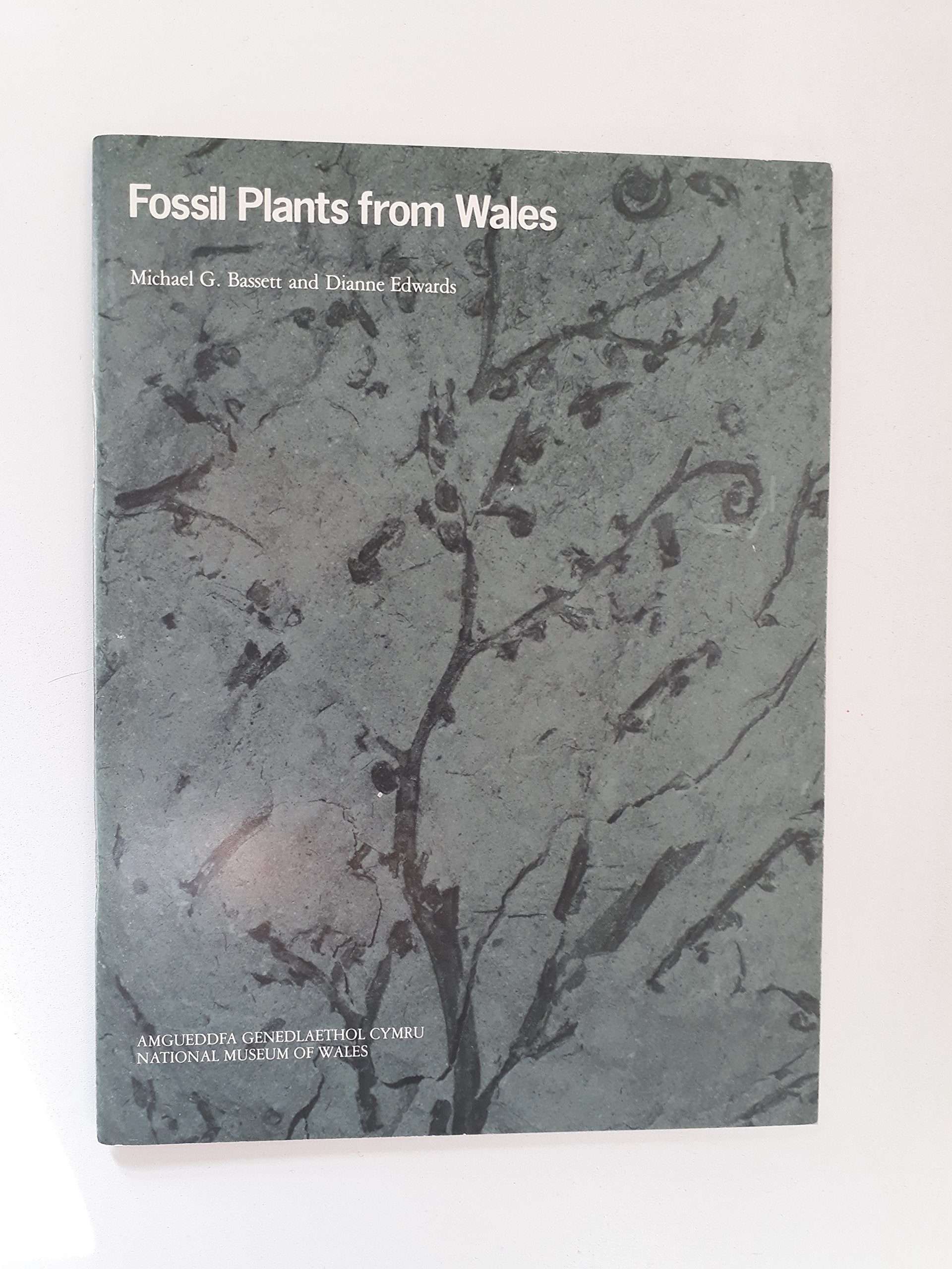 Fossil plants from Wales (Geological series) book