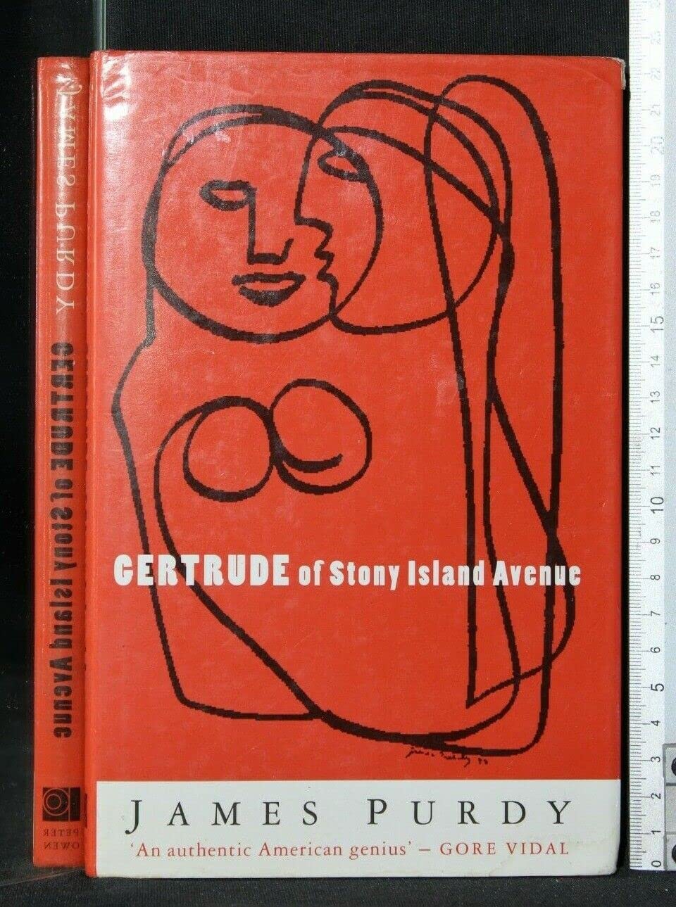 Gertrude of Stony Island Avenue Contemporary literature