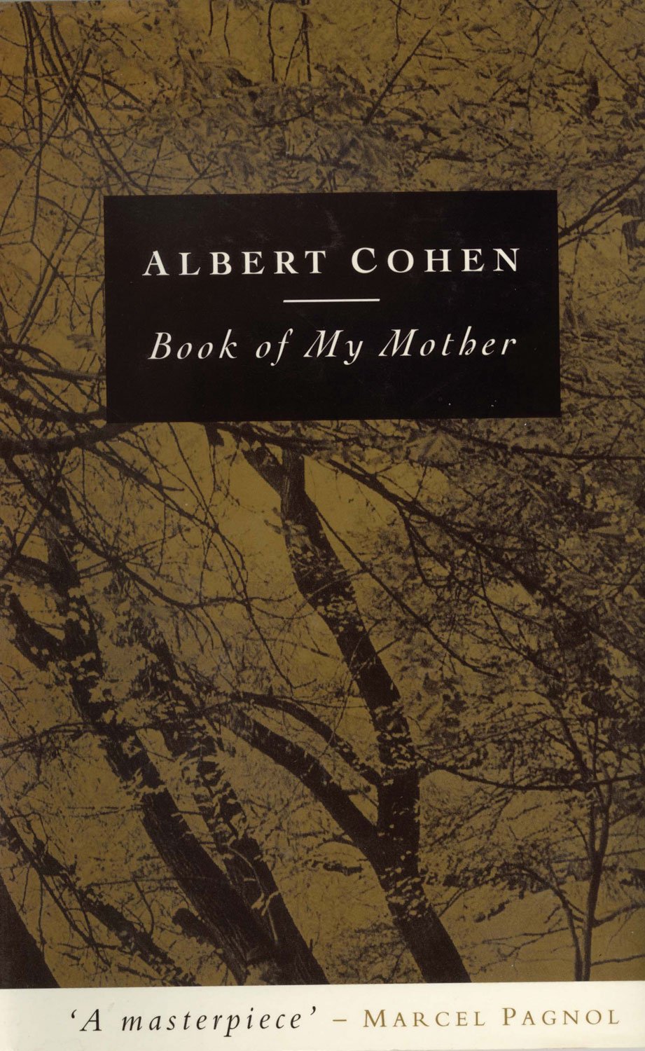 Book of My Mother (UNESCO Collection of Representative Works) Partnership & Love