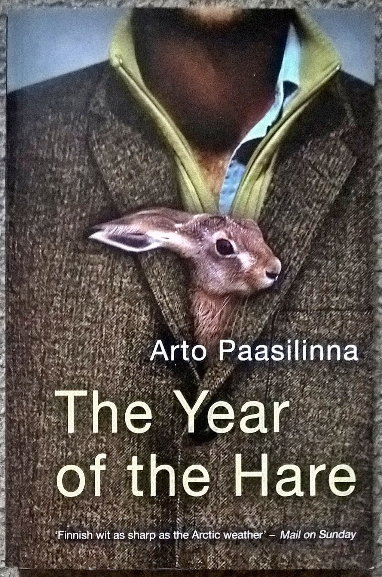 Year of the Hare, The Contemporary literature