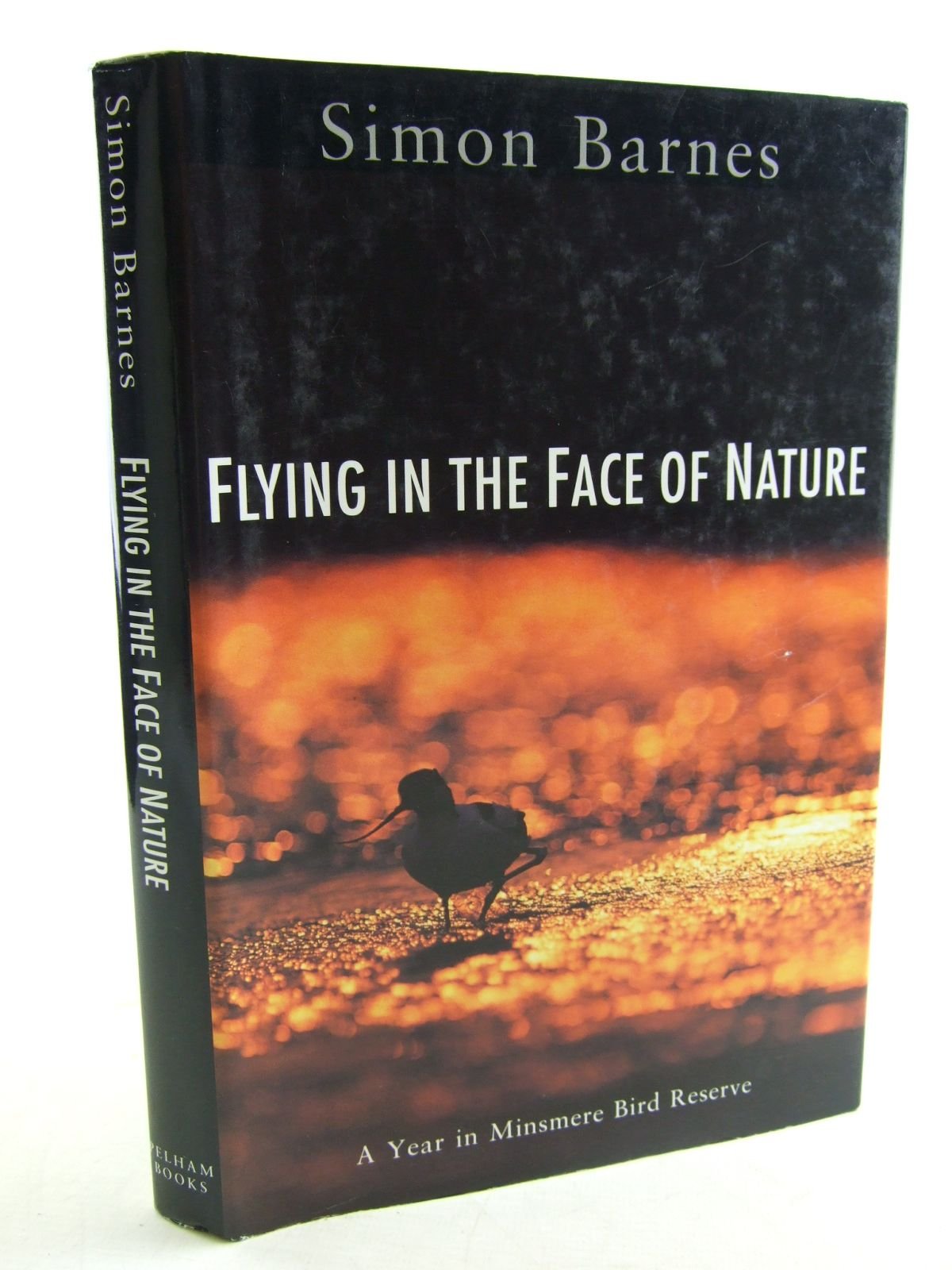 Flying in the Face of Nature: A Year in Minsmere Bird Reserve Mathematics