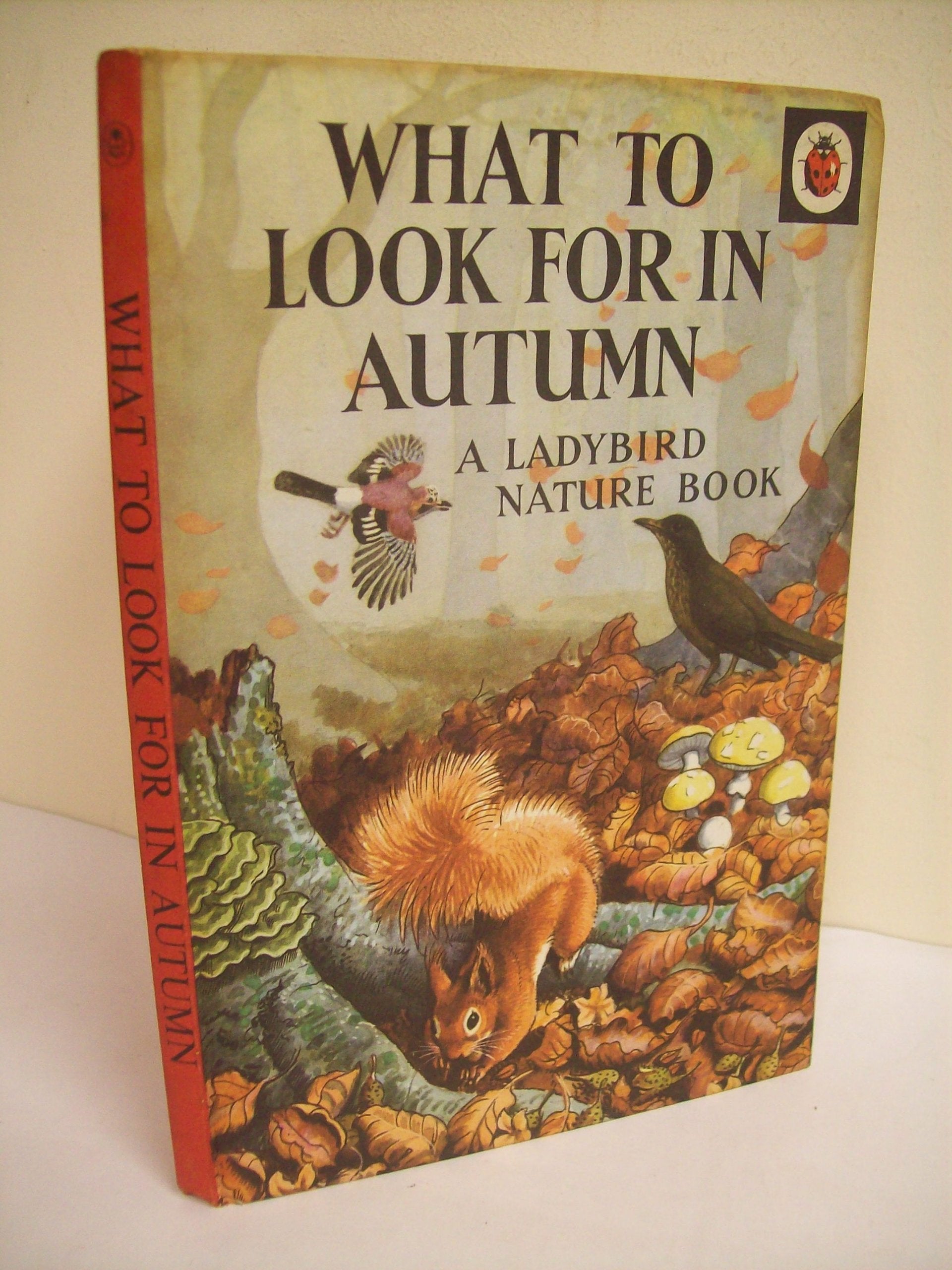 What to Look for in Autumn (National S., Band 10) Books