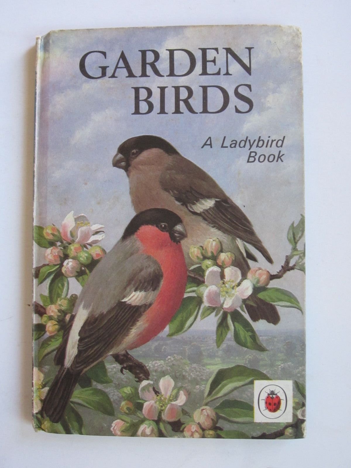Garden Birds (Nature, Series 536) Mathematics